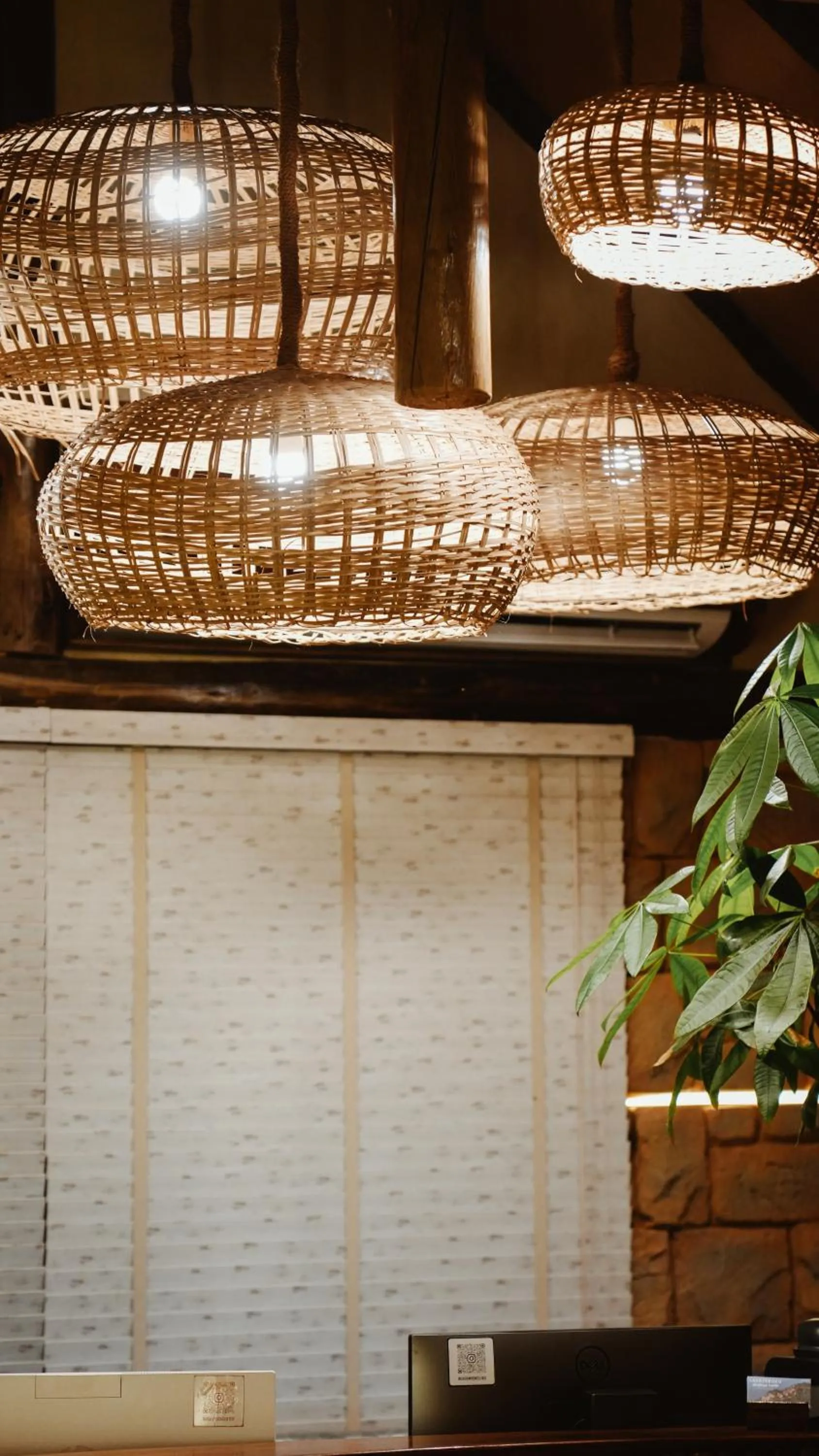 Property building in Casa Mikoko Resort