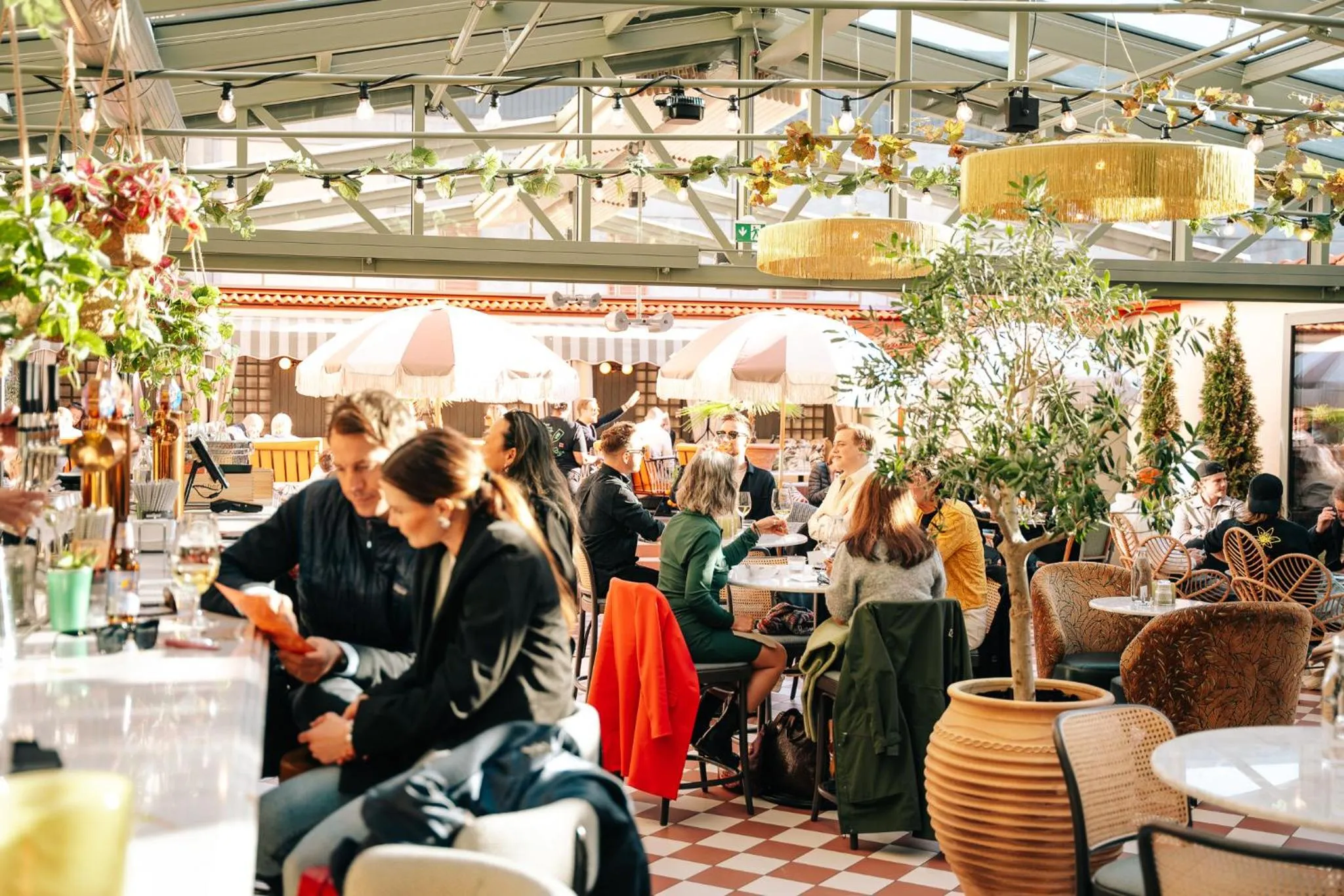 Restaurant/places to eat in Hotel Fratelli