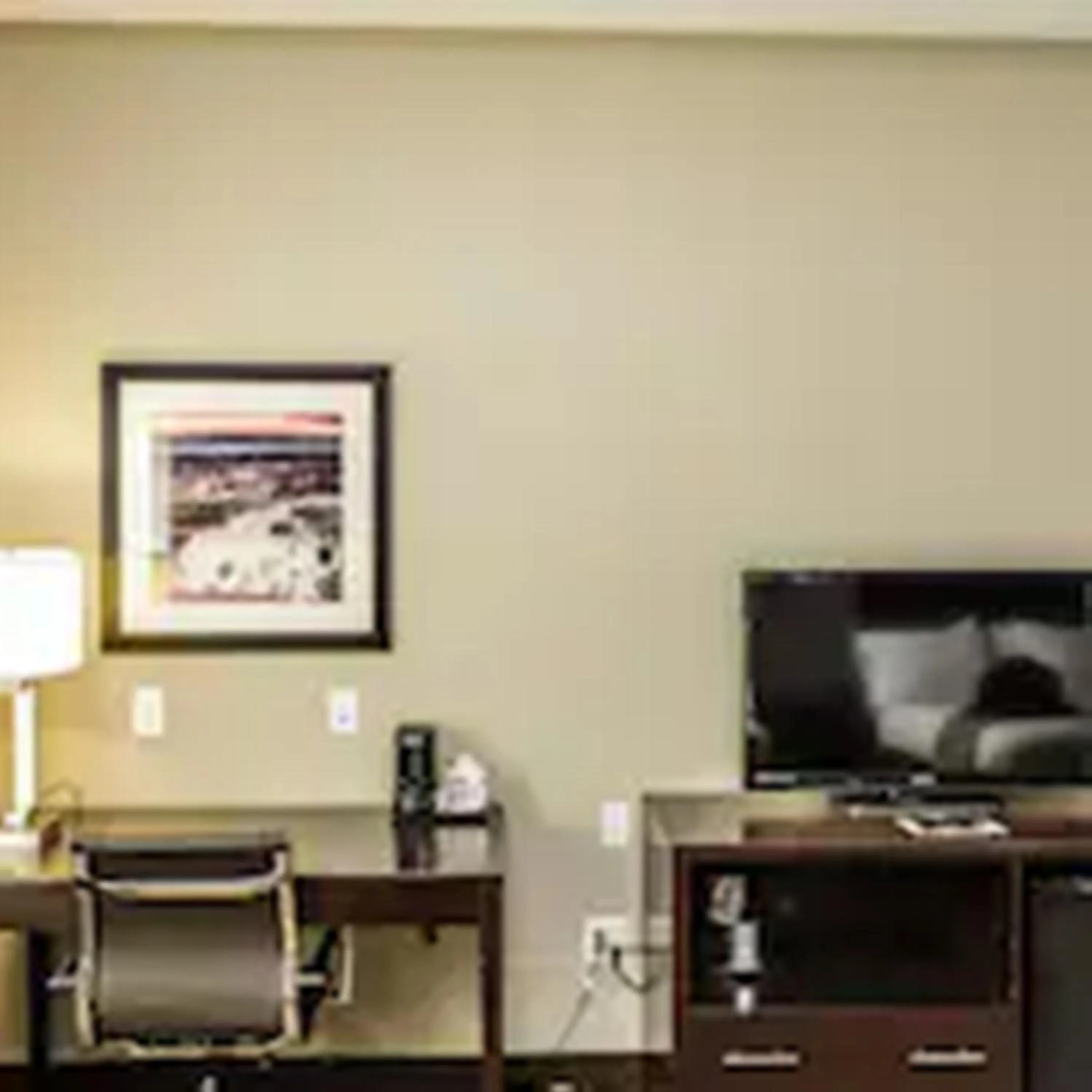 TV and multimedia in Holiday Inn Express Cheektowaga North East by IHG
