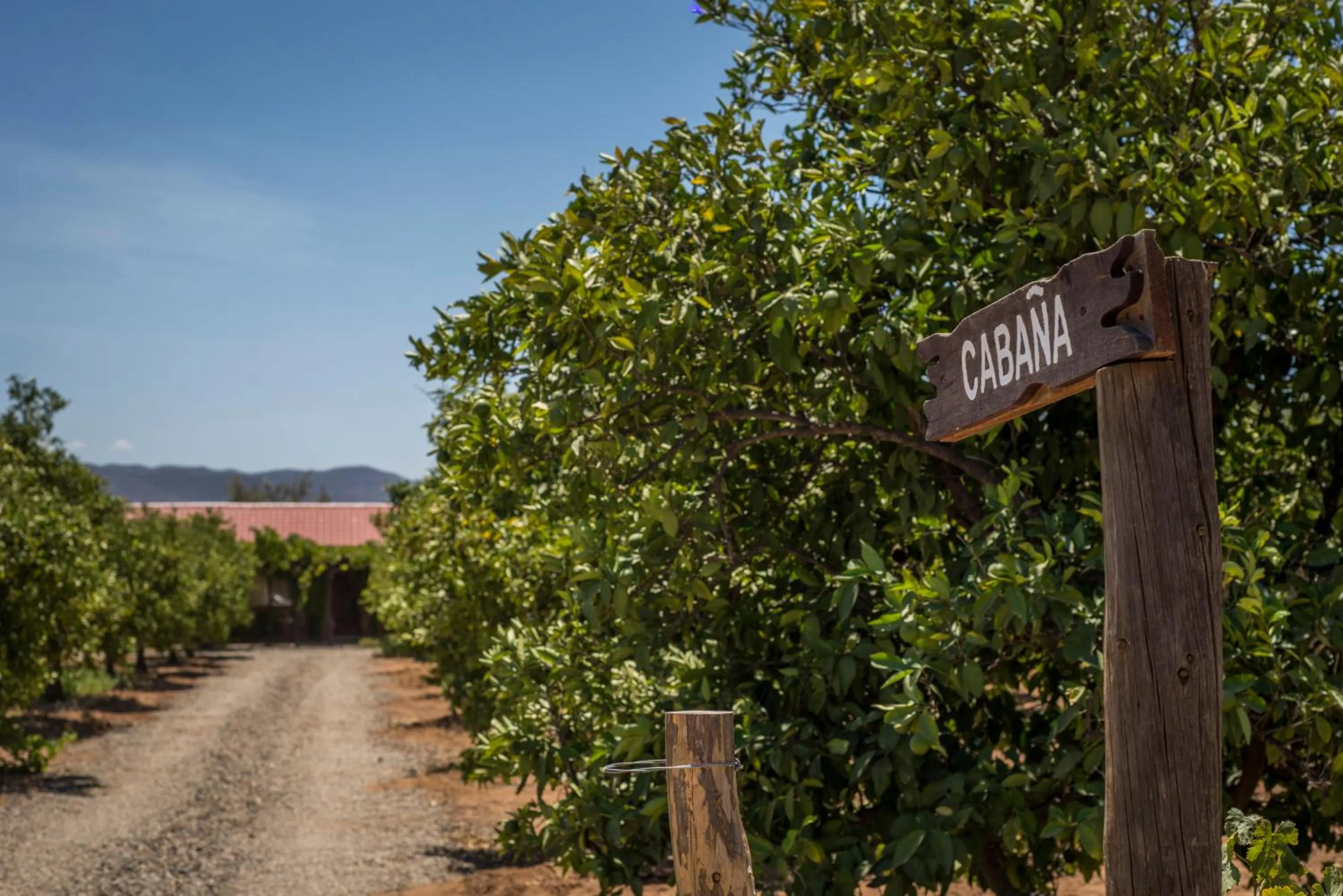 Logo/Certificate/Sign in Terra del Valle Bed & Breakfast