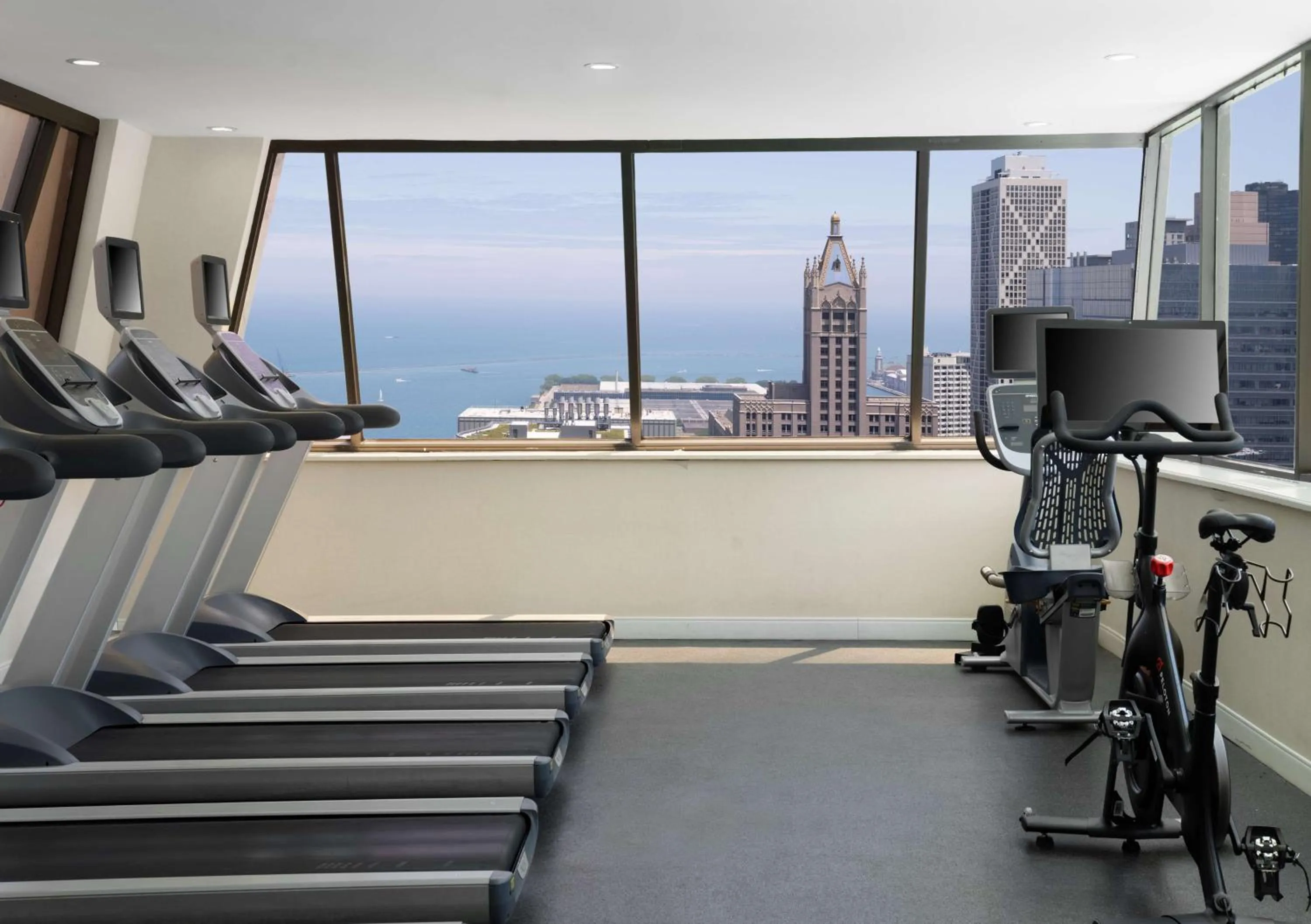 Fitness centre/facilities in Hampton Inn Chicago Downtown/Magnificent Mile