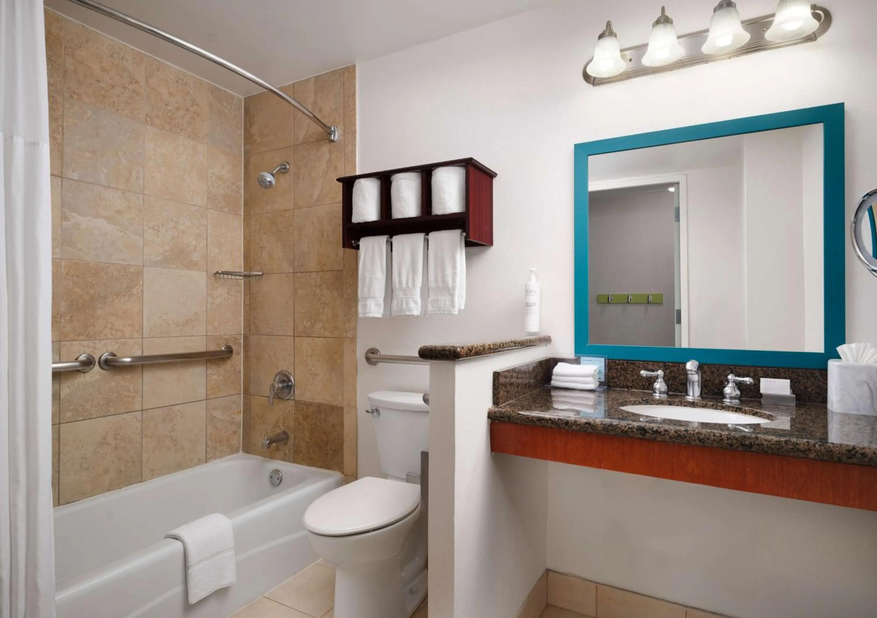 Toilet in Hampton Inn Chicago Downtown/Magnificent Mile