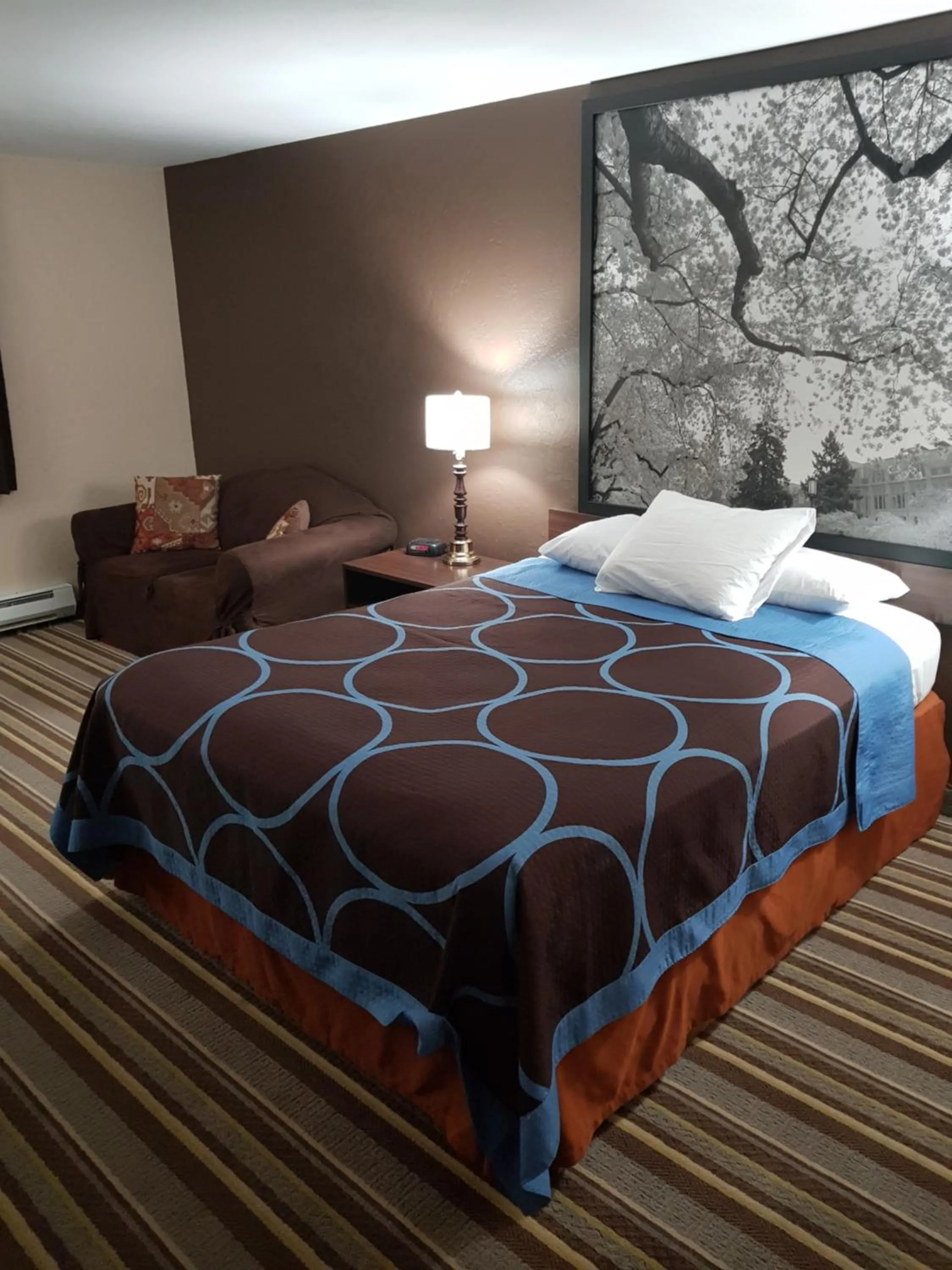 Photo of the whole room, Bed in Super 8 by Wyndham Shelton