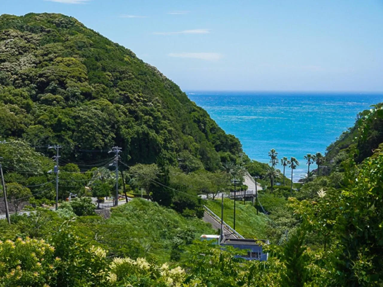 Natural landscape in LiVEMAX RESORT Izu Shimoda