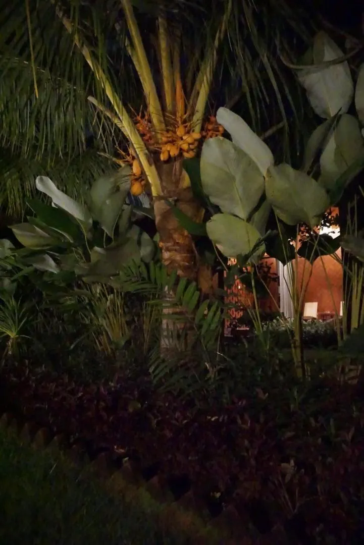 Garden in Louto Dmell Villa & Deluxe