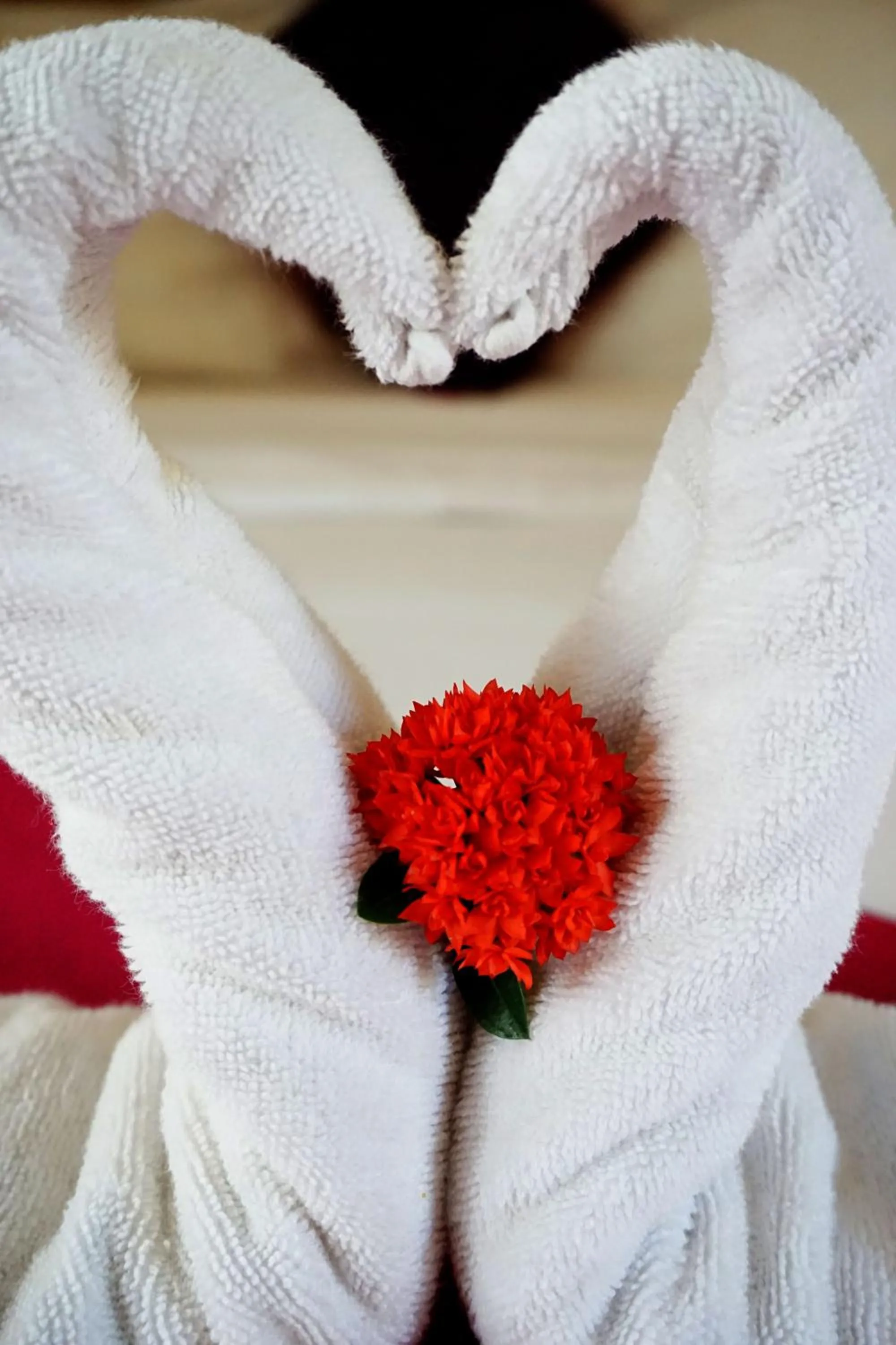 Decorative detail in Louto Dmell Villa & Deluxe