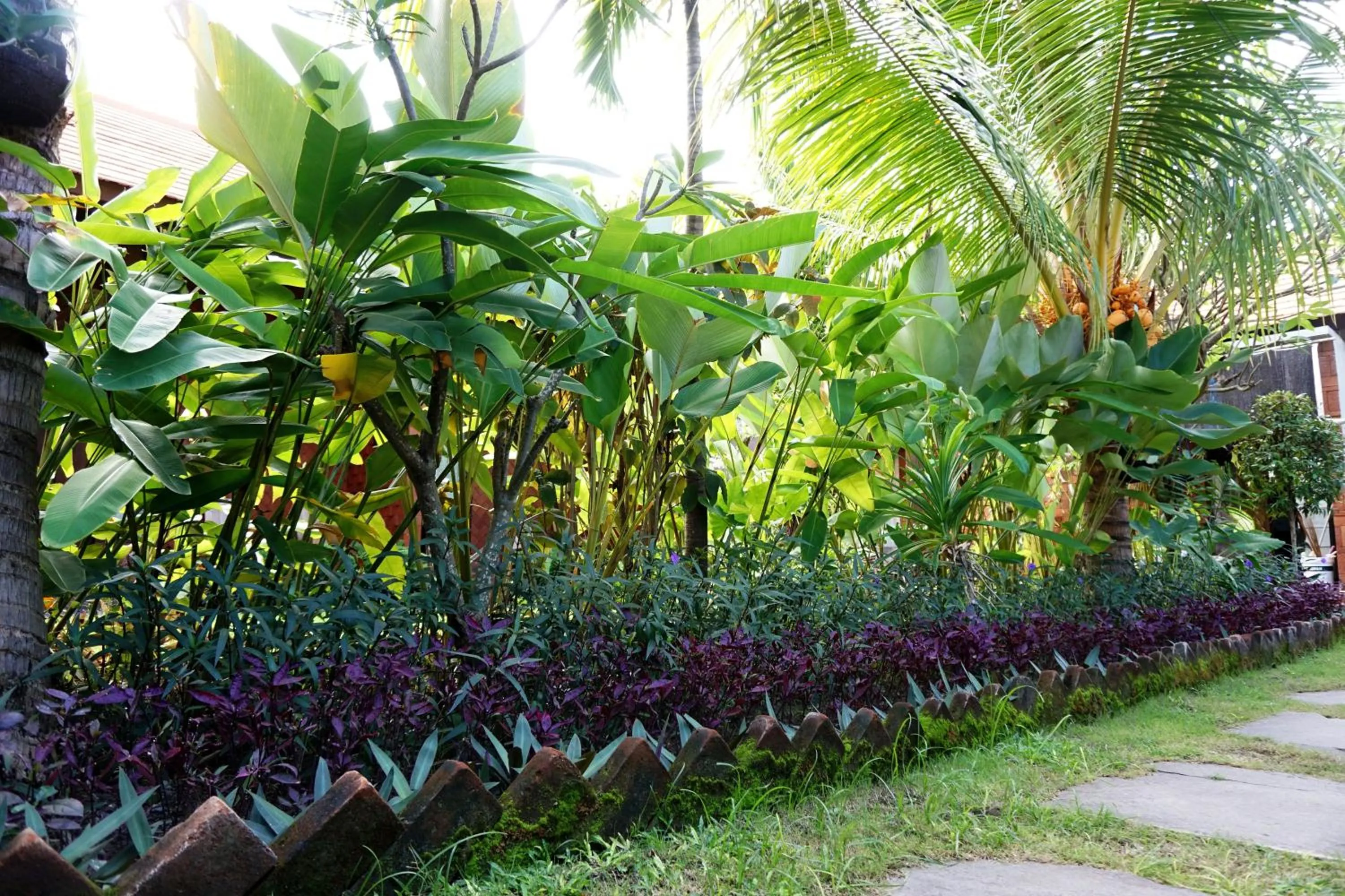 Garden in Louto Dmell Villa & Deluxe