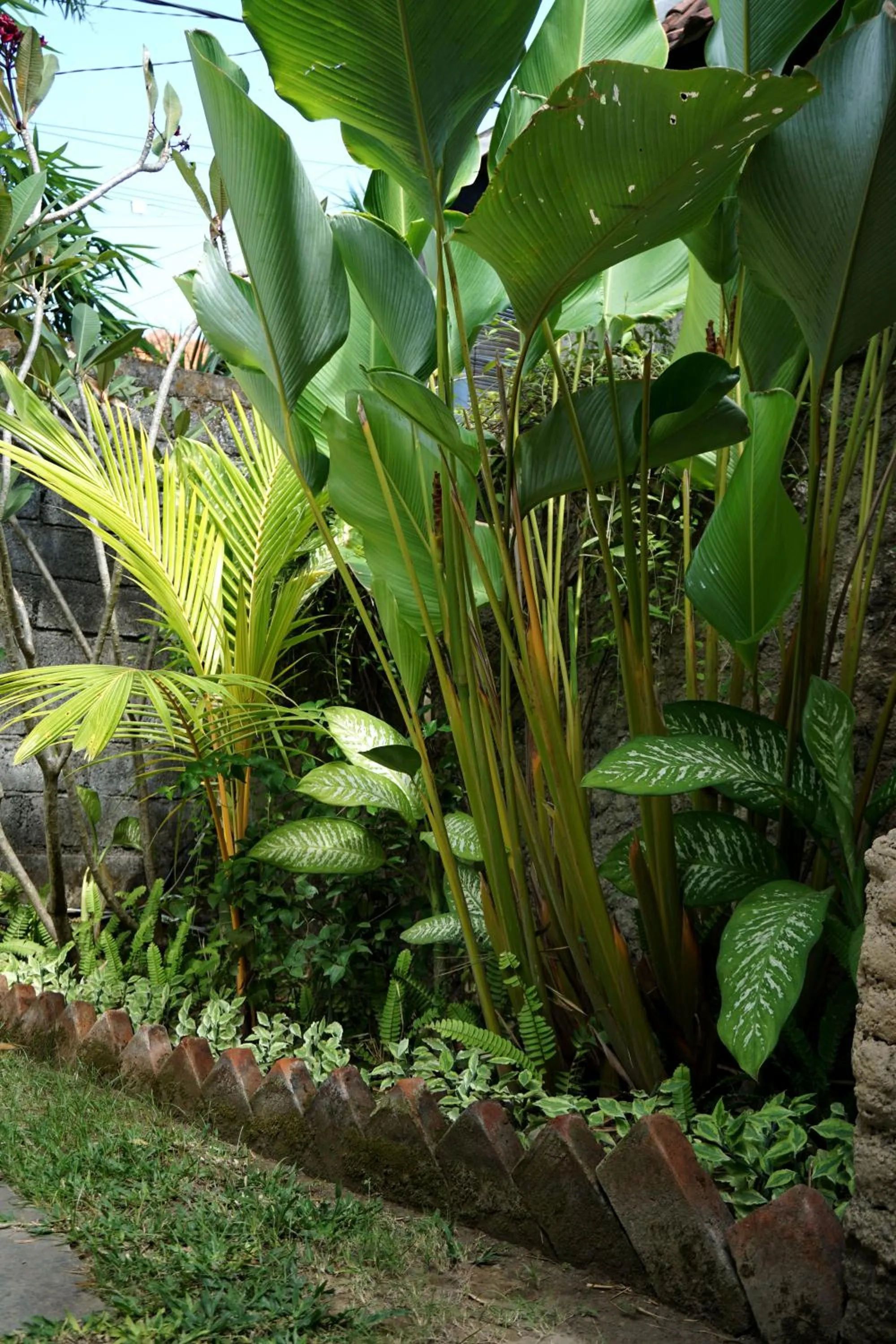 Garden in Louto Dmell Villa & Deluxe