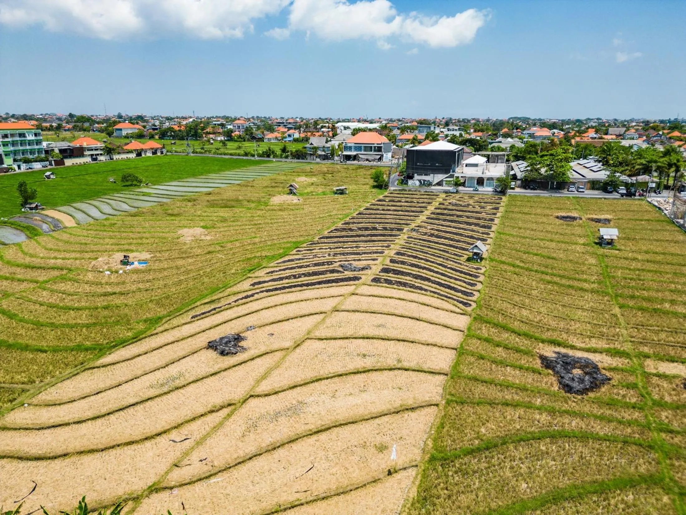 Neighbourhood in Jungle Amaranth Villa Canggu - Exclusive 3BR Retreat with Pool, Modern Amenities and Top Location - New Year's Offer