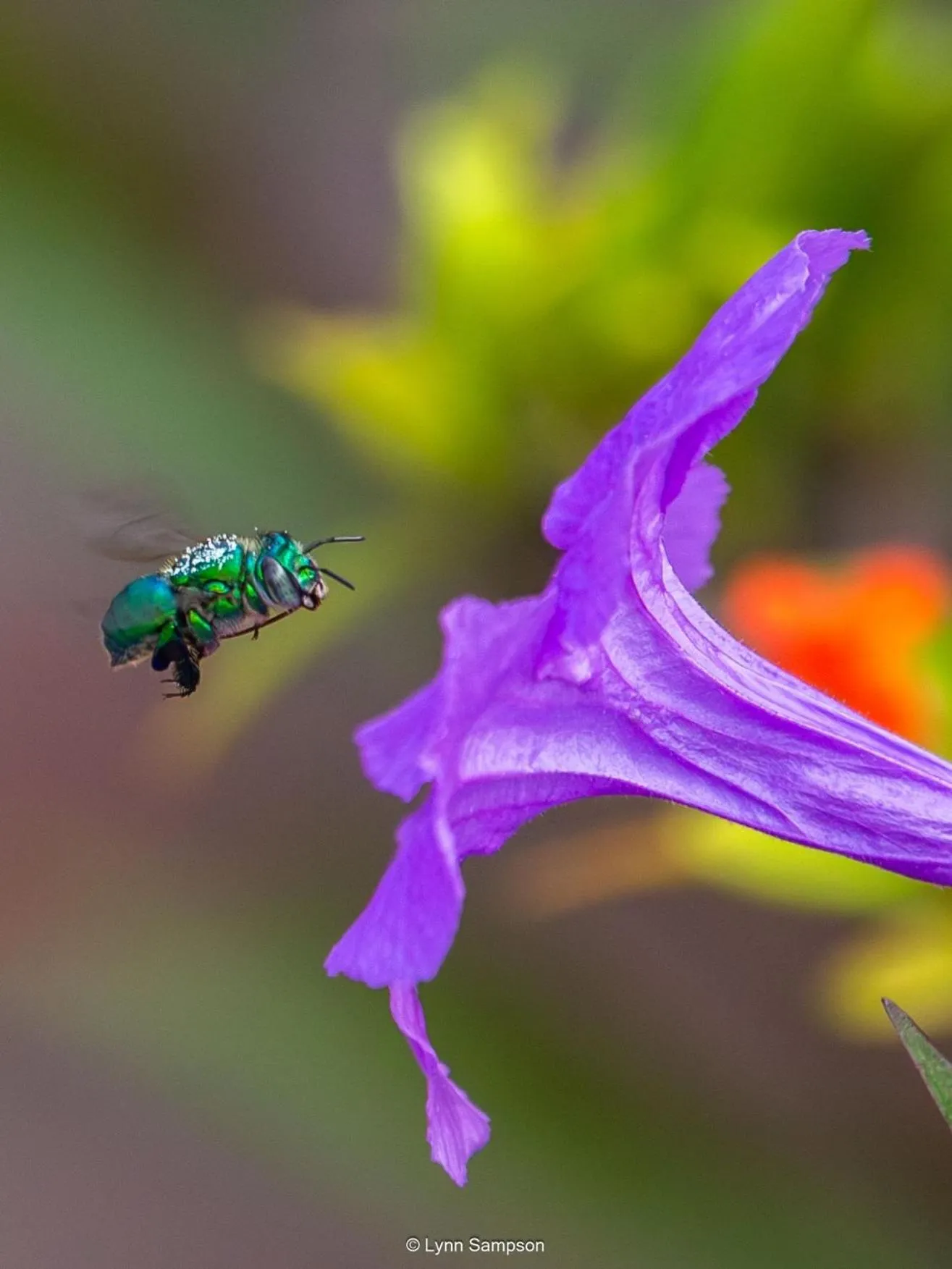 Day in Hotel Plaza Brisas