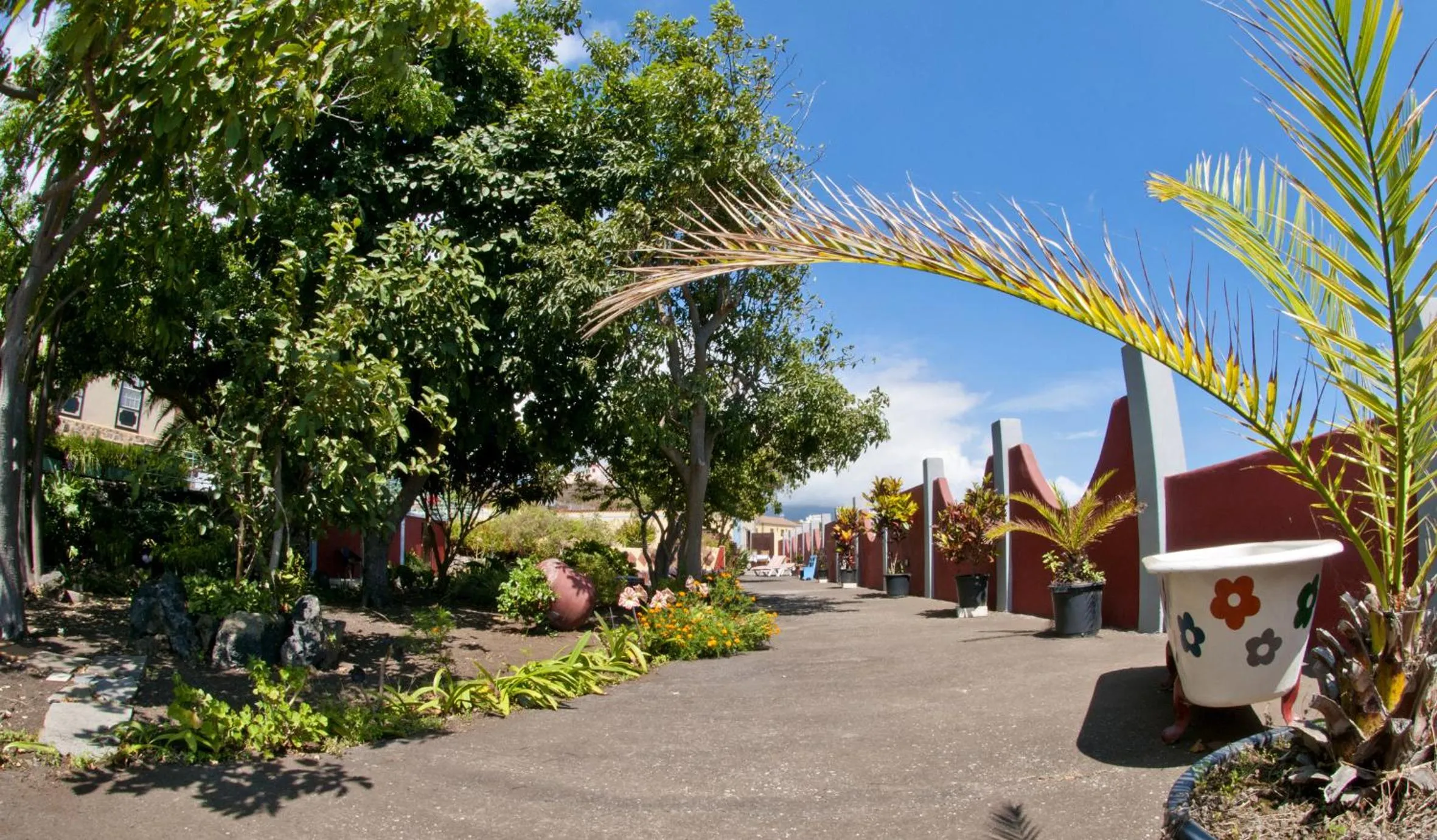 Garden in Villa Asunción C