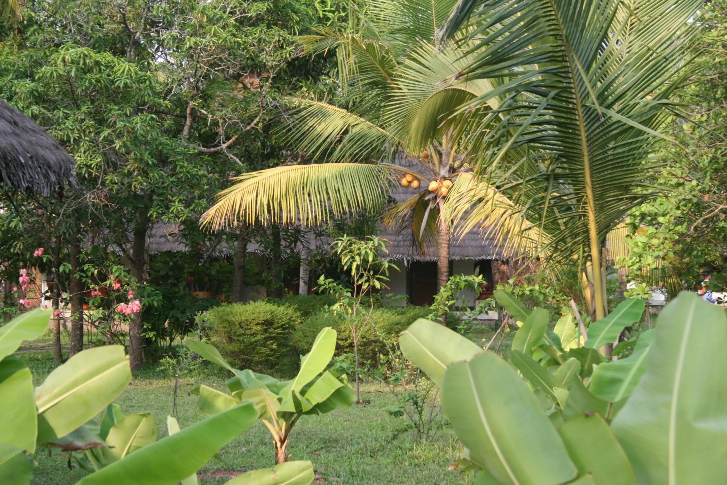 Garden in Neeleshwar Hermitage