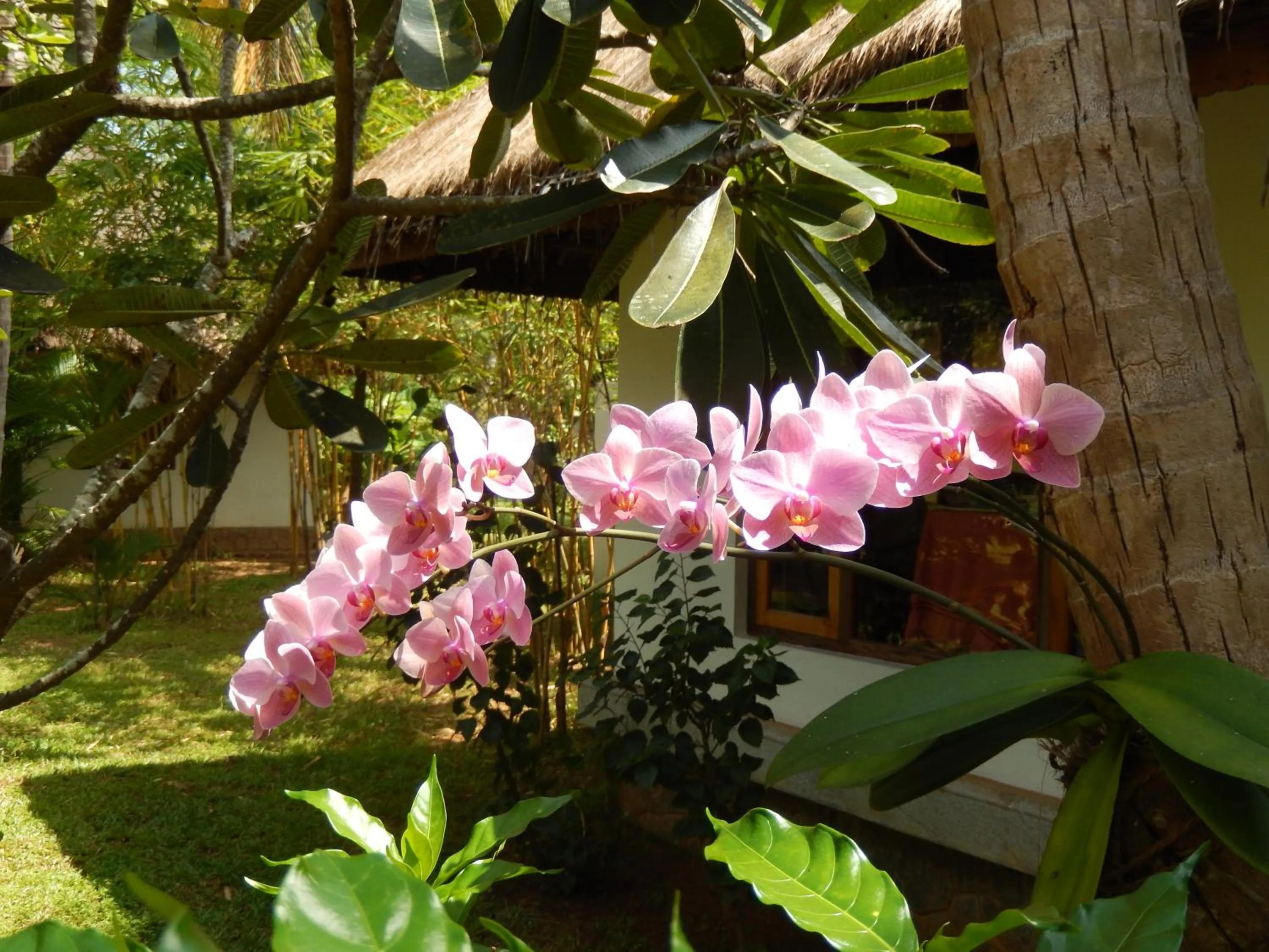 Garden in Neeleshwar Hermitage