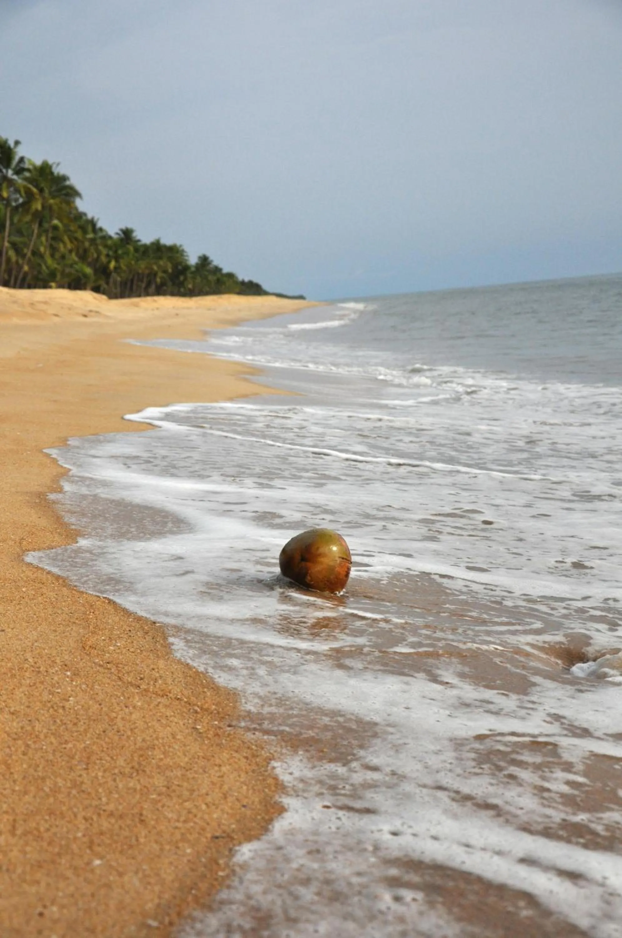 Beach in Neeleshwar Hermitage