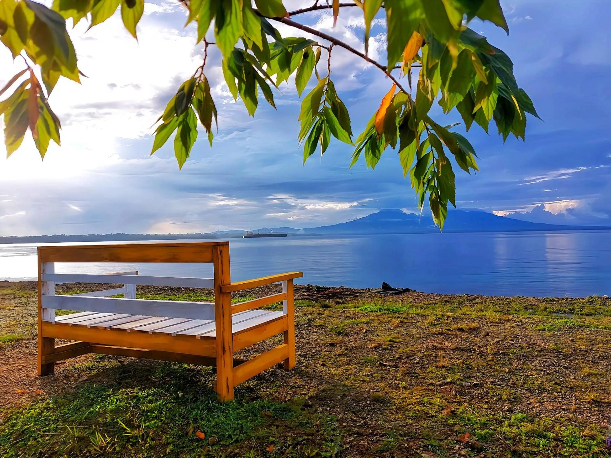 View (from property/room) in Marina Hotel