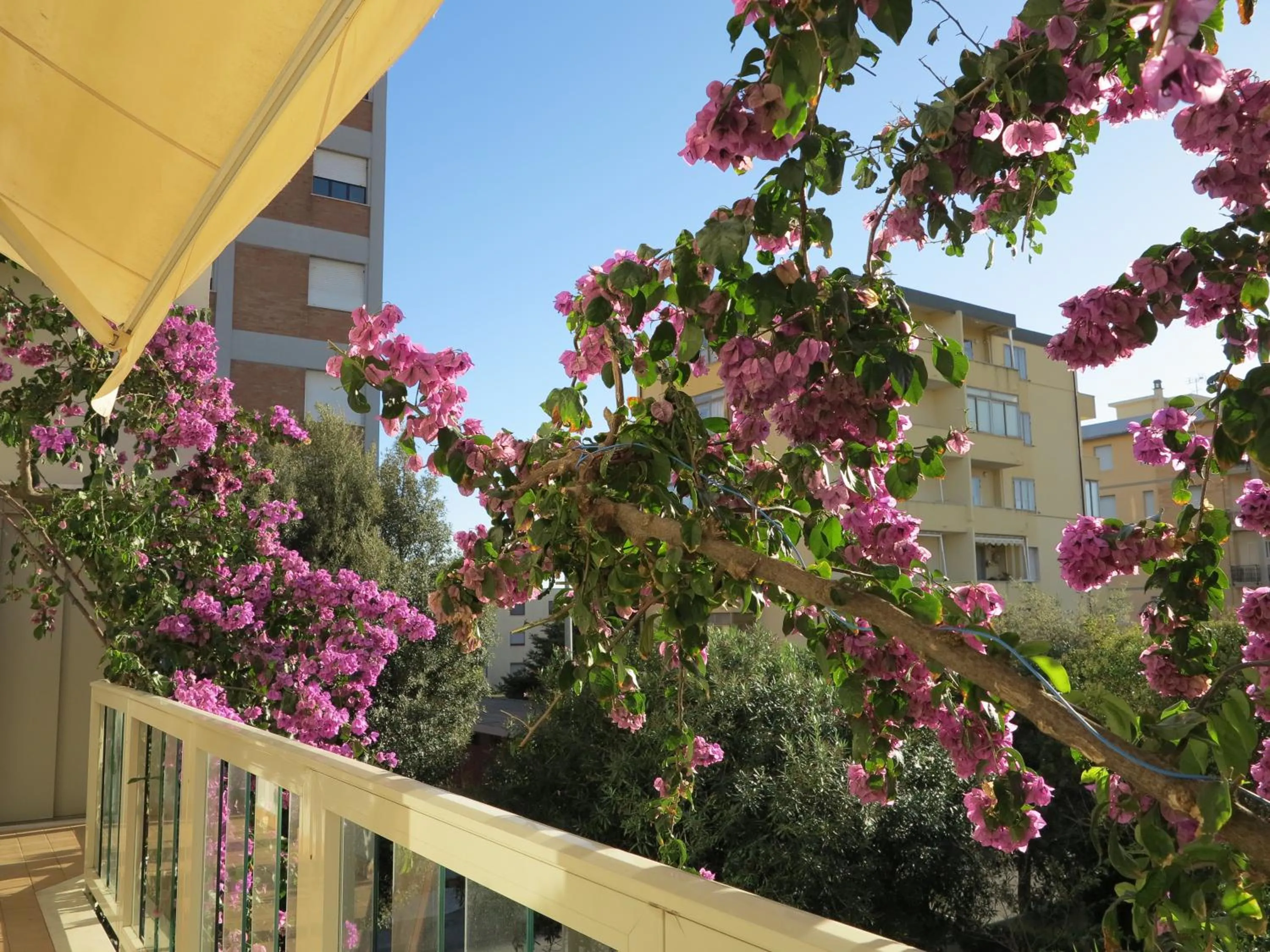 Balcony/Terrace in Casamare Hotel
