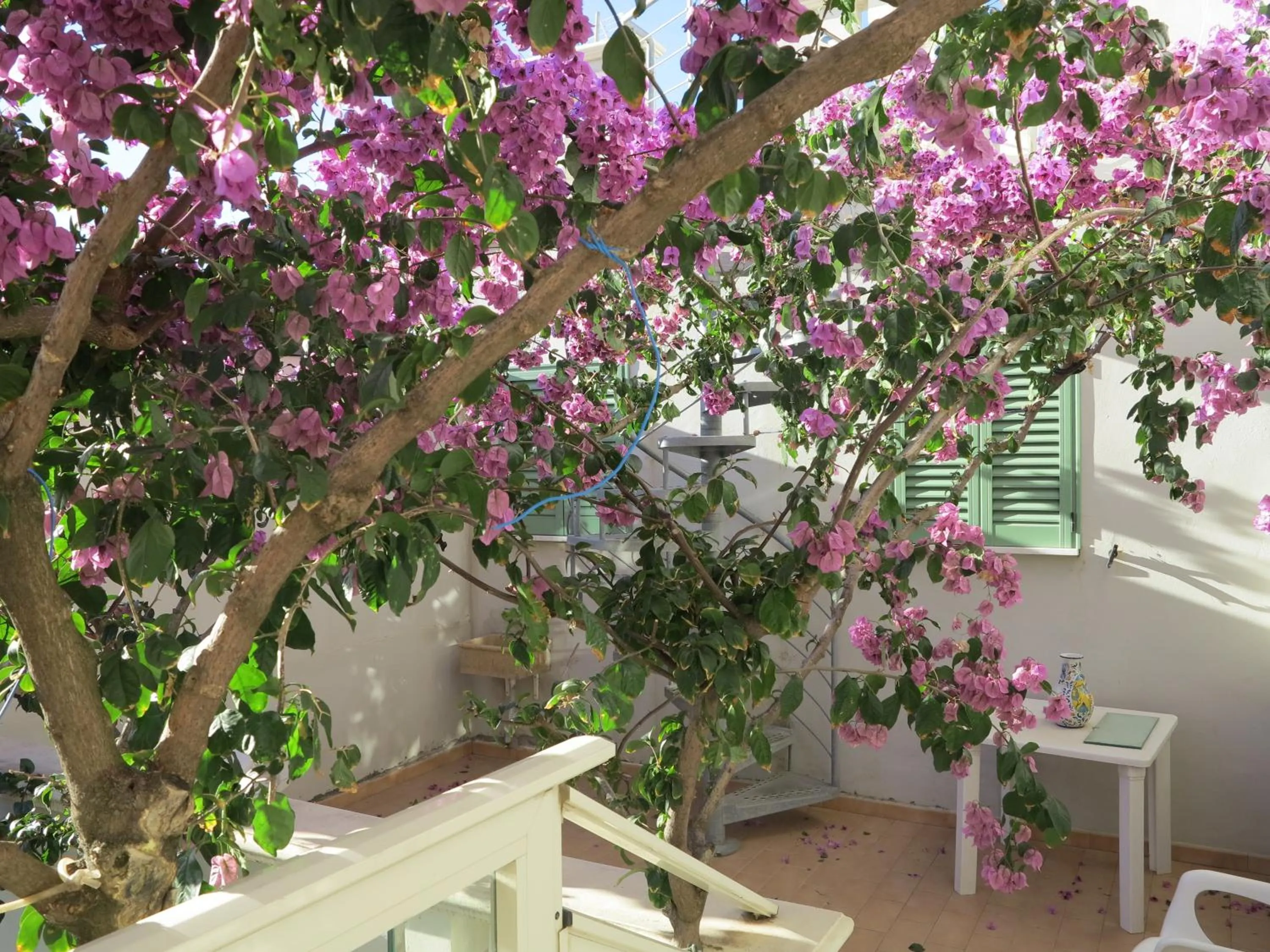 Balcony/Terrace in Casamare Hotel