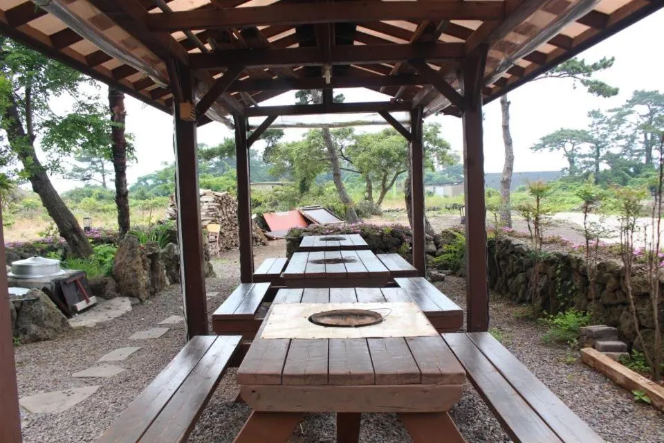 Starlight drops Pension