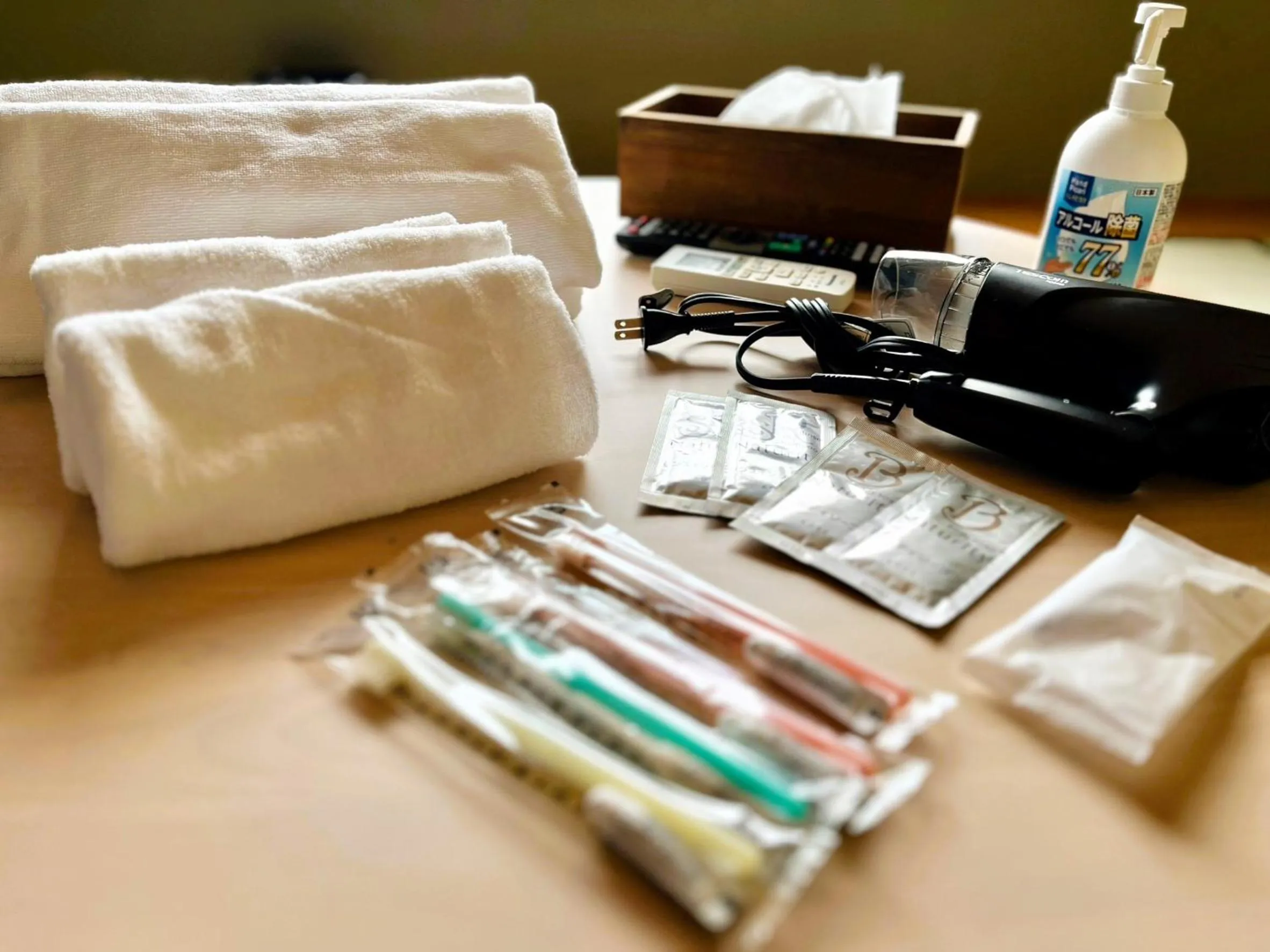 hair dryier in Yuzawa house