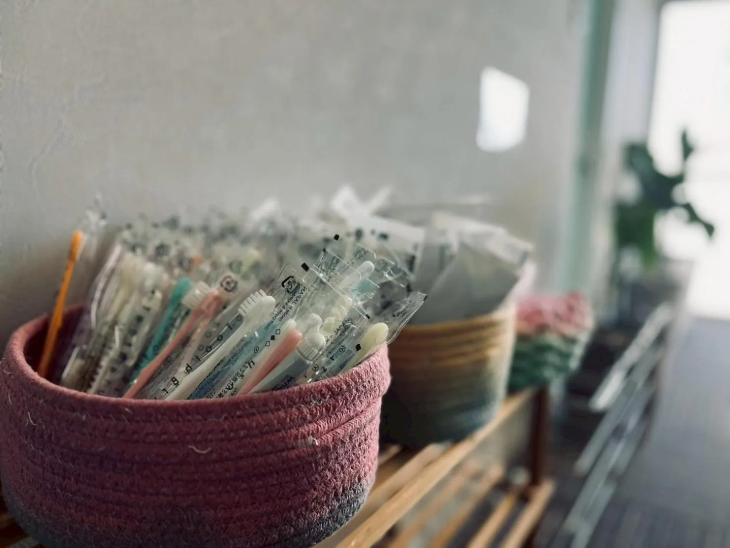 Area and facilities in Yuzawa house