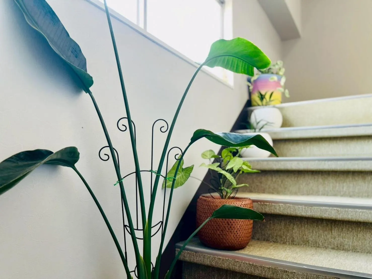 Area and facilities in Yuzawa house