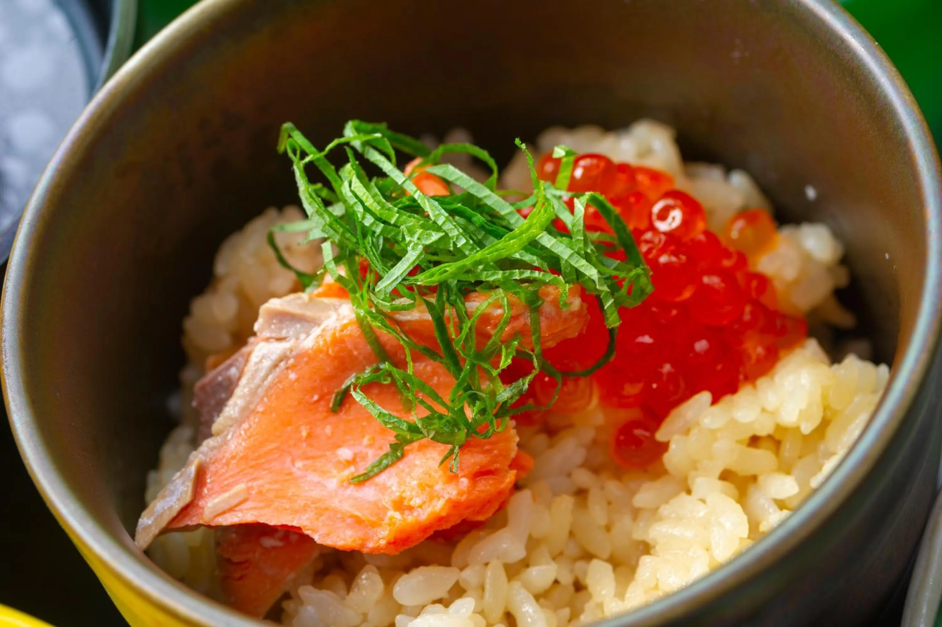 Dinner in Niseko Hot Spring Ikoino Yuyado Iroha