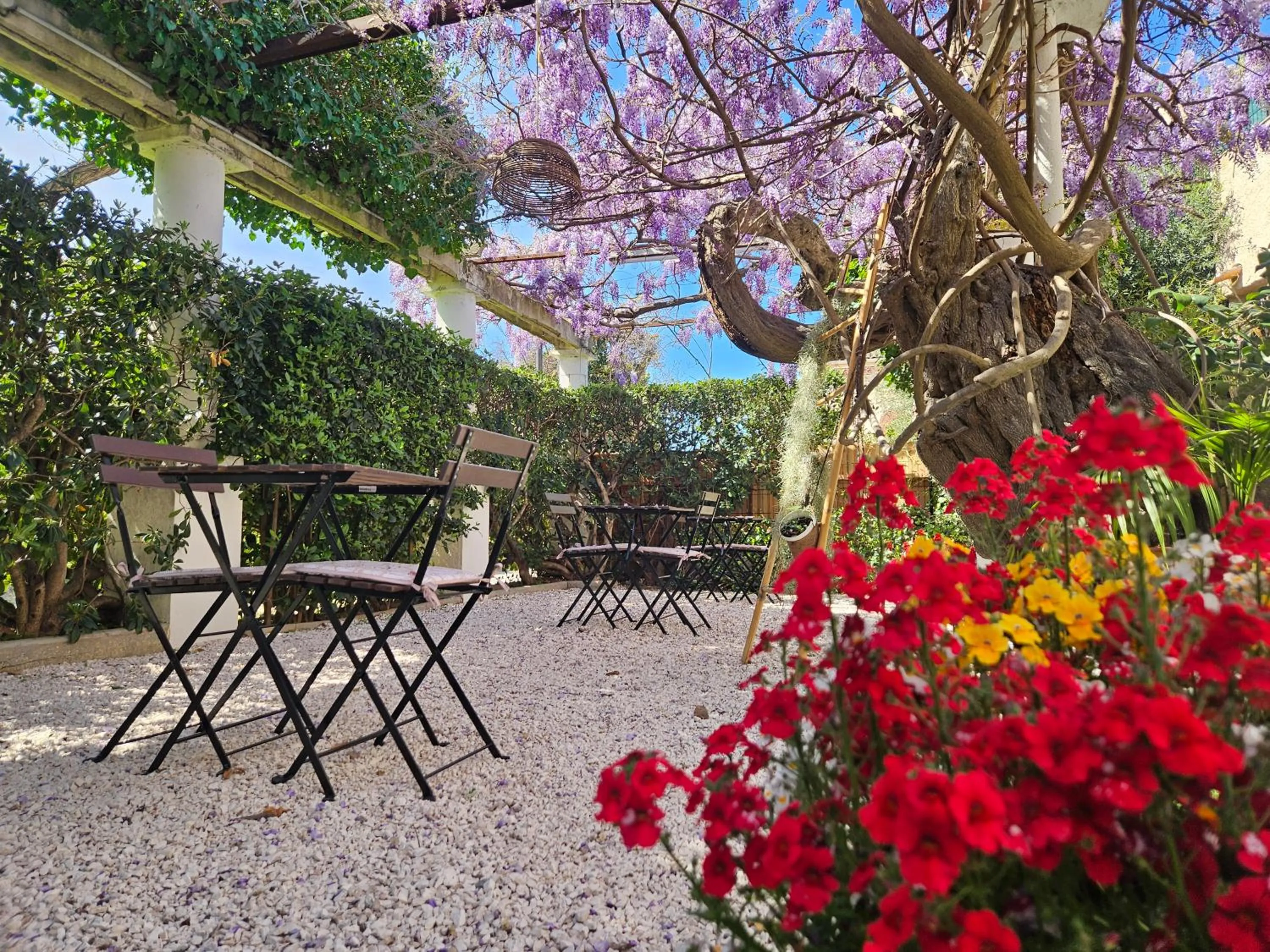 Garden in Chez Louis