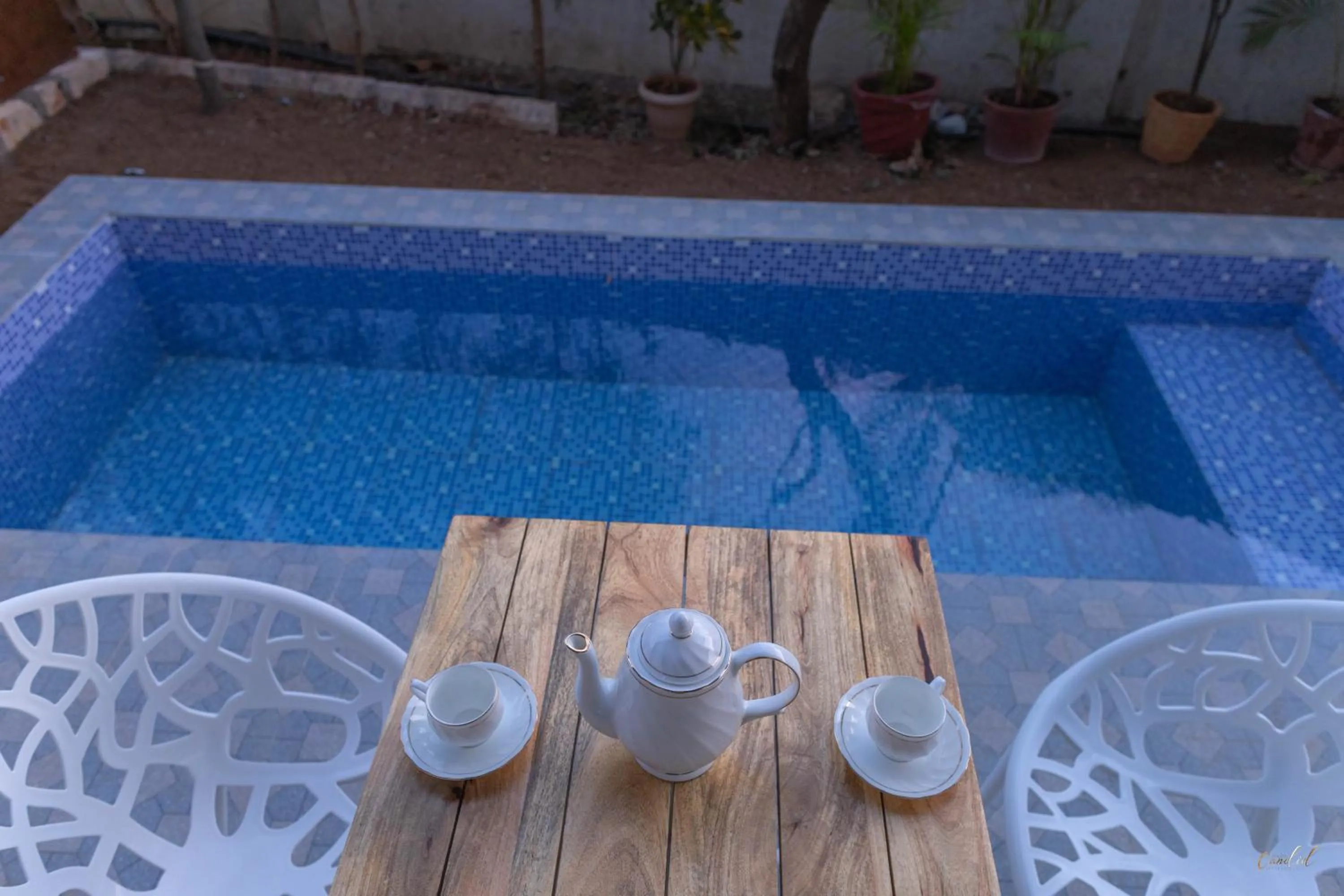 Pool view in Daksh Eden Greenz -A Luxury Resort in Sasan Gir