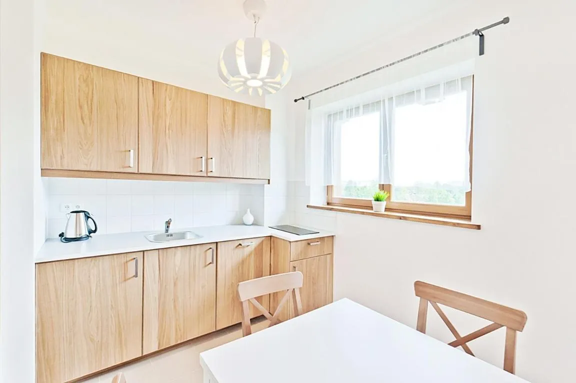 Kitchen or kitchenette in Apartamenty Lipki Park, Sun & Snow