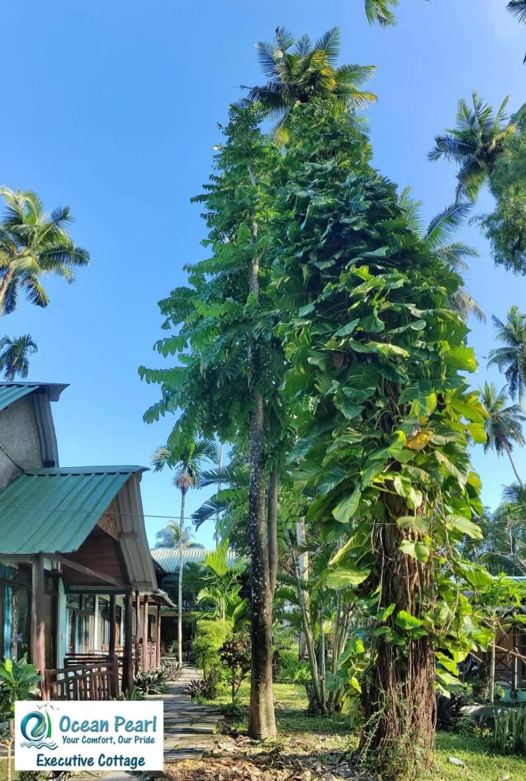 Property building in Ocean Pearl Beach Resort