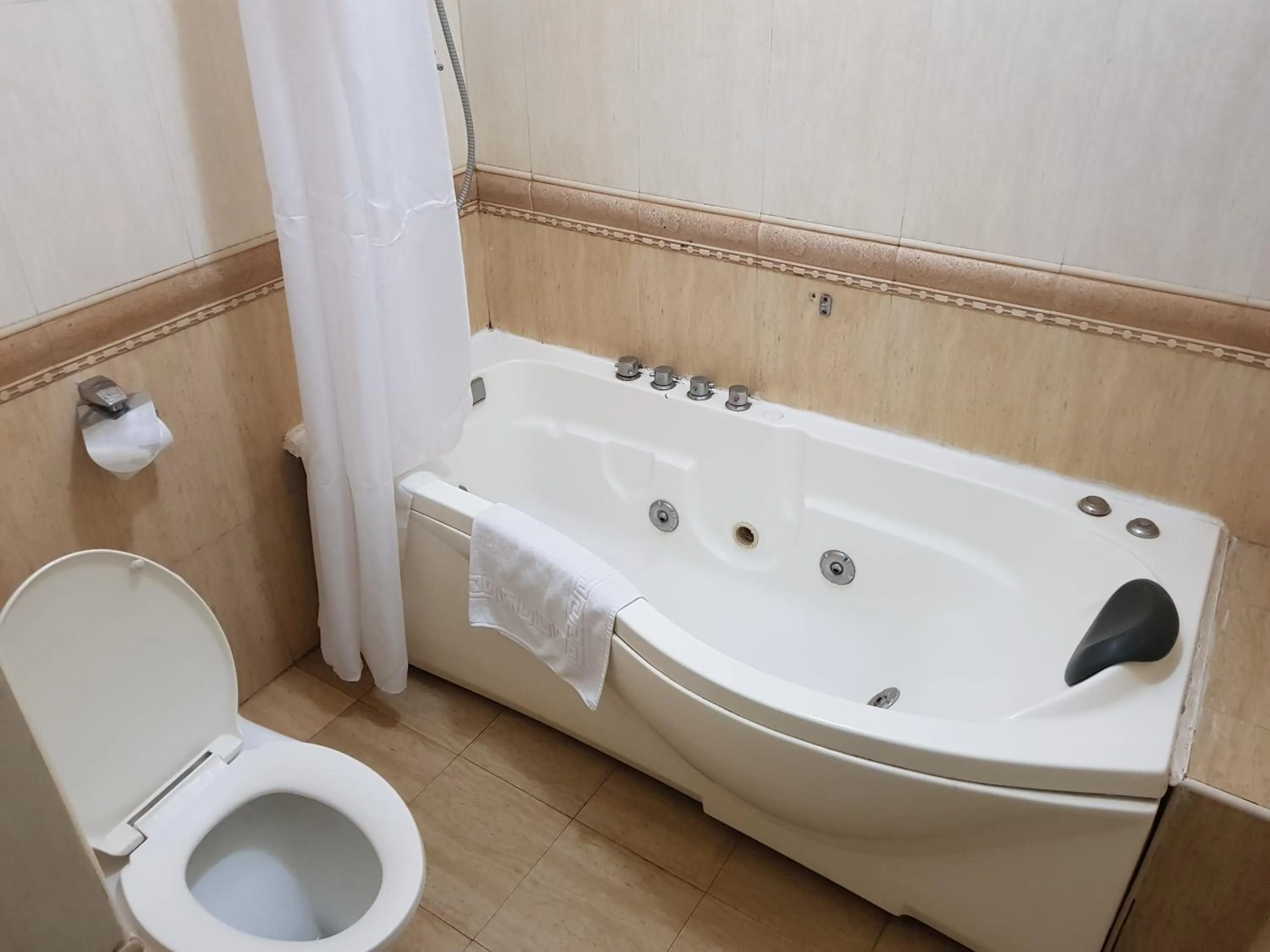 Toilet in Natural Oak Apartments
