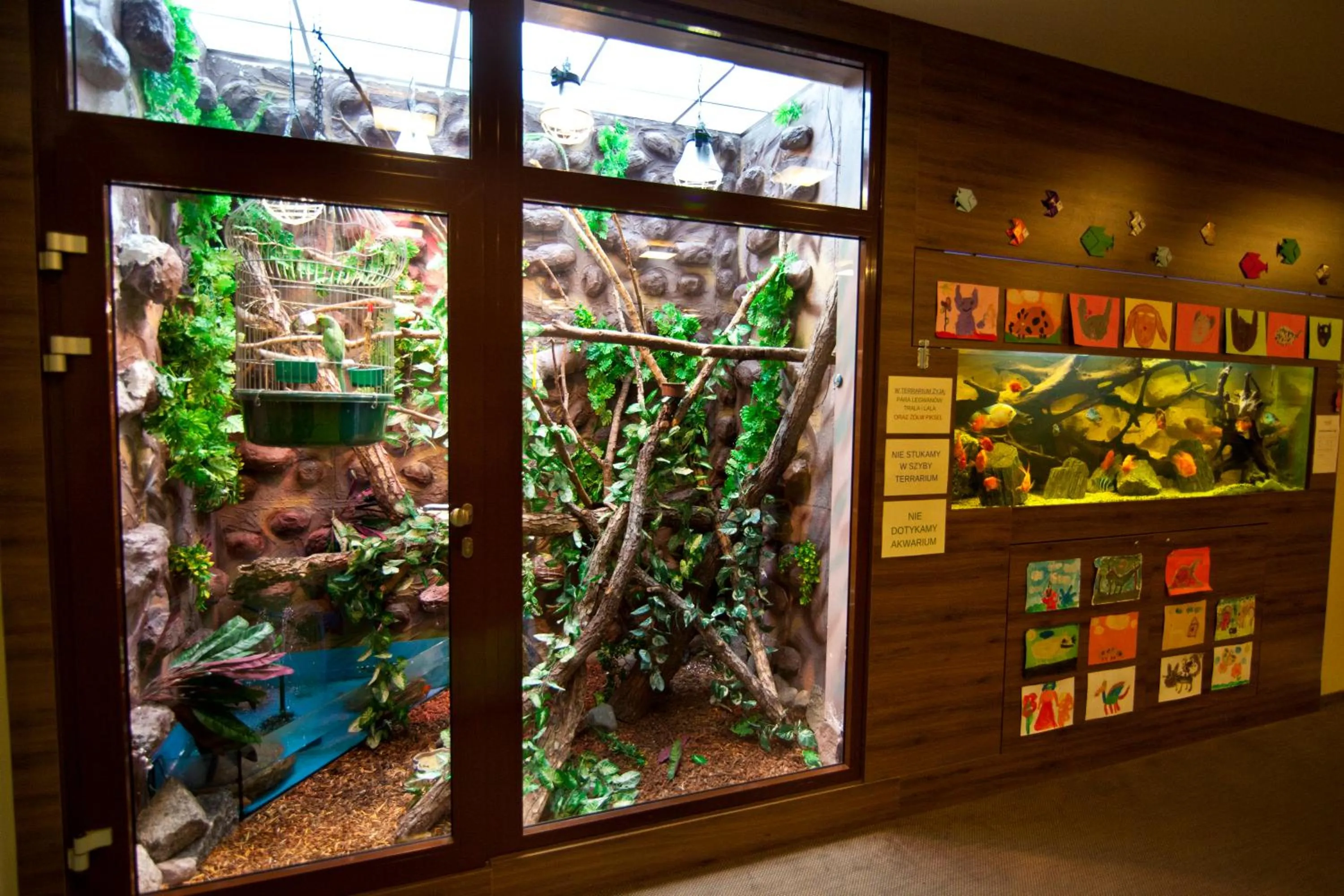 Kids's club in Imperiall Resort & MediSpa