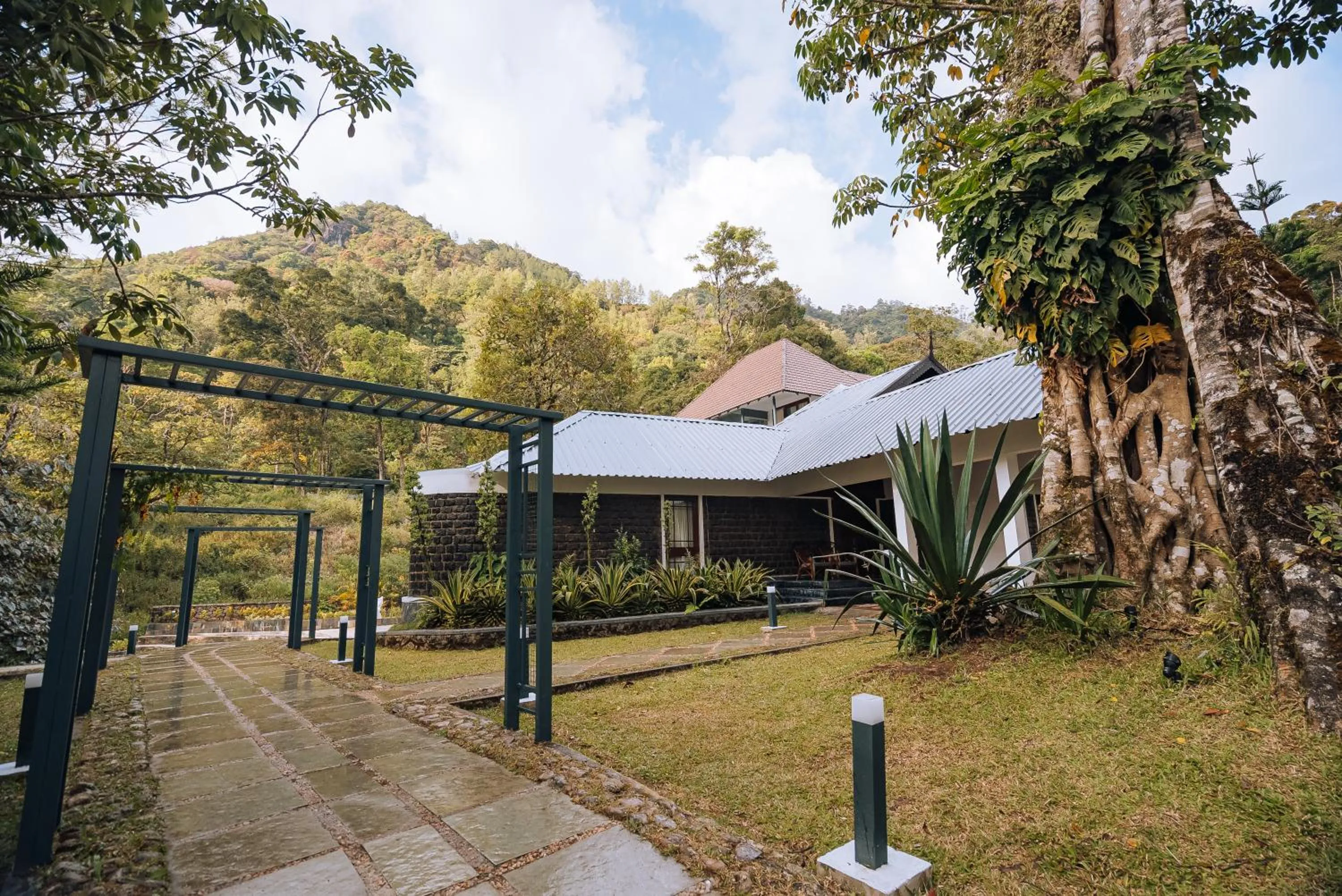 Spring in Elixir Woods Luxury Resort And Spa, Munnar