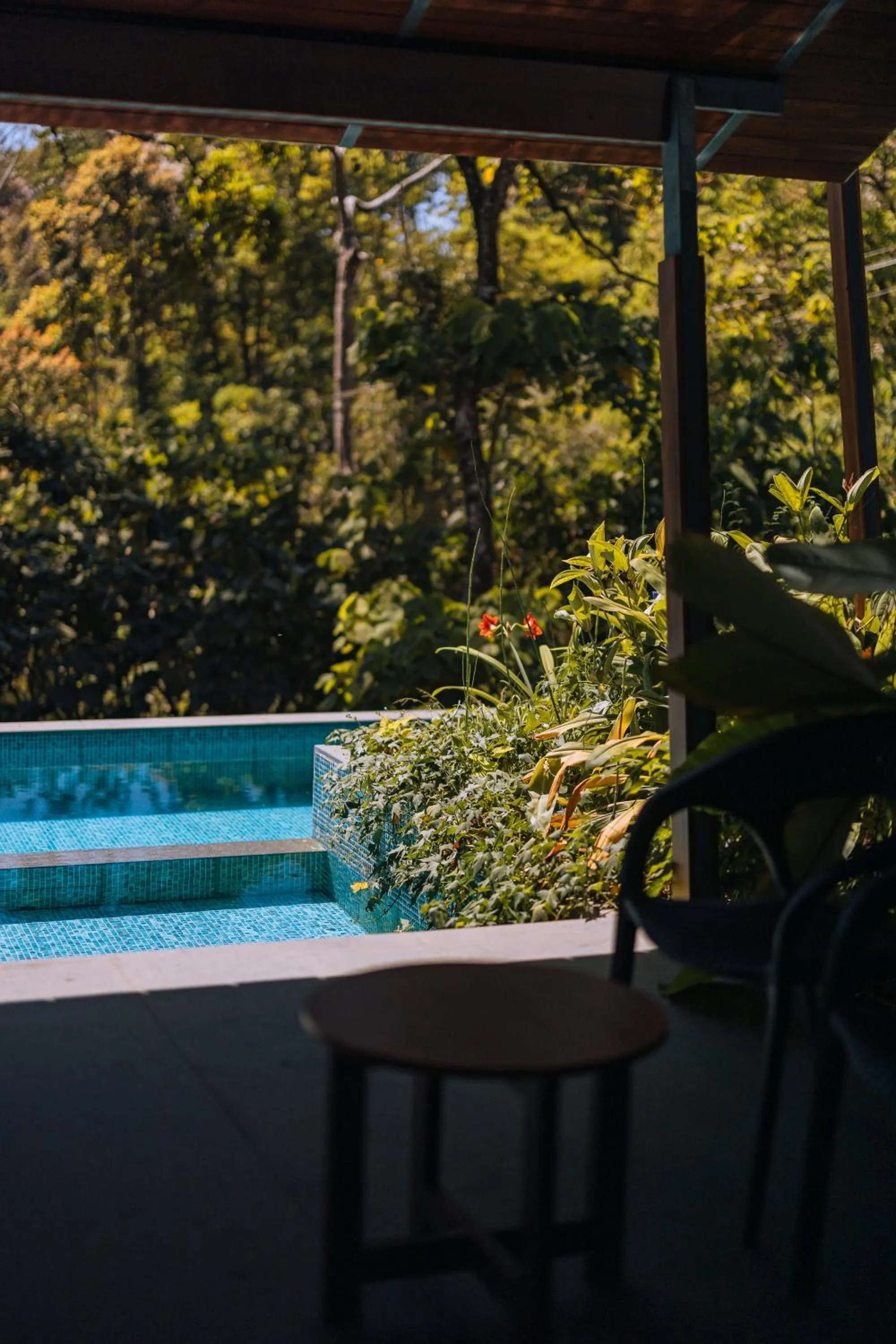 Swimming pool in Elixir Woods Luxury Resort And Spa, Munnar