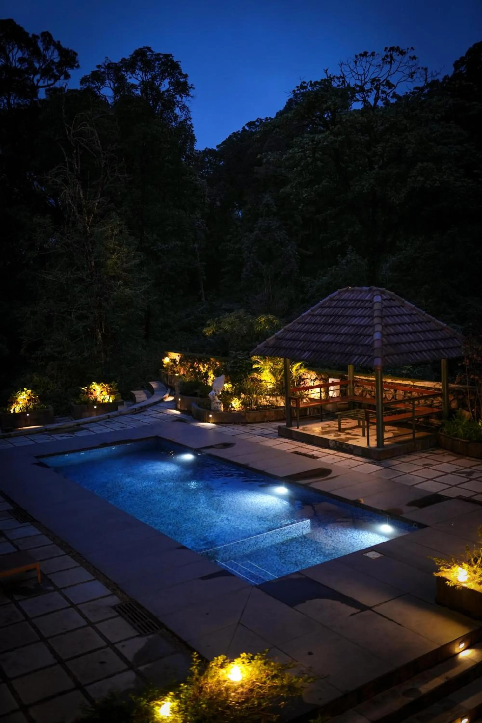 Pool view in Elixir Woods Luxury Resort And Spa, Munnar