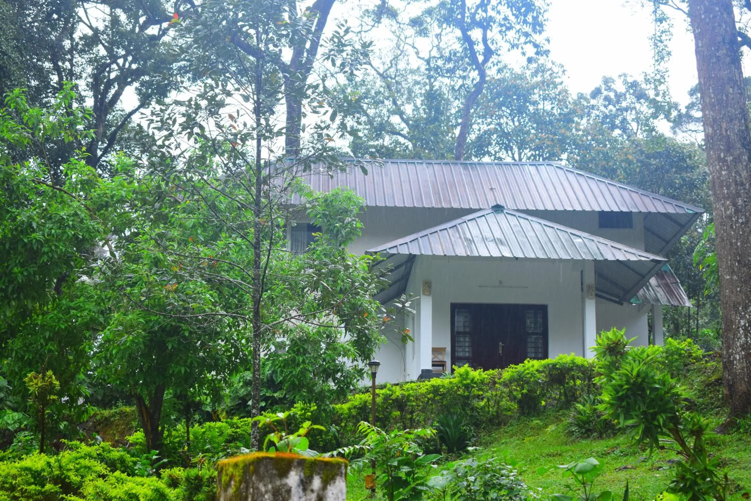Property building in Elixir Woods Luxury Resort And Spa, Munnar