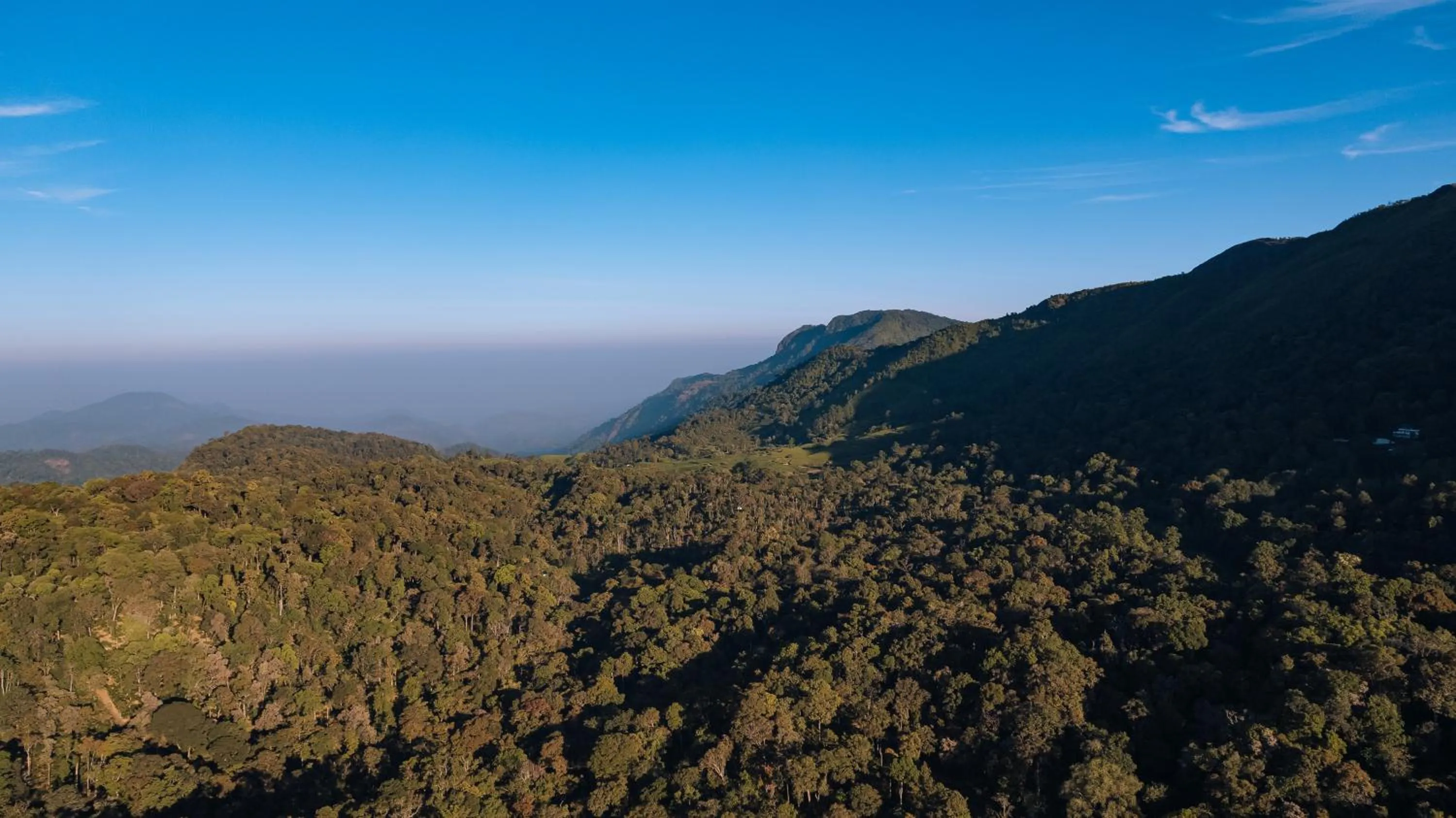Mountain view in Elixir Woods Luxury Resort And Spa, Munnar