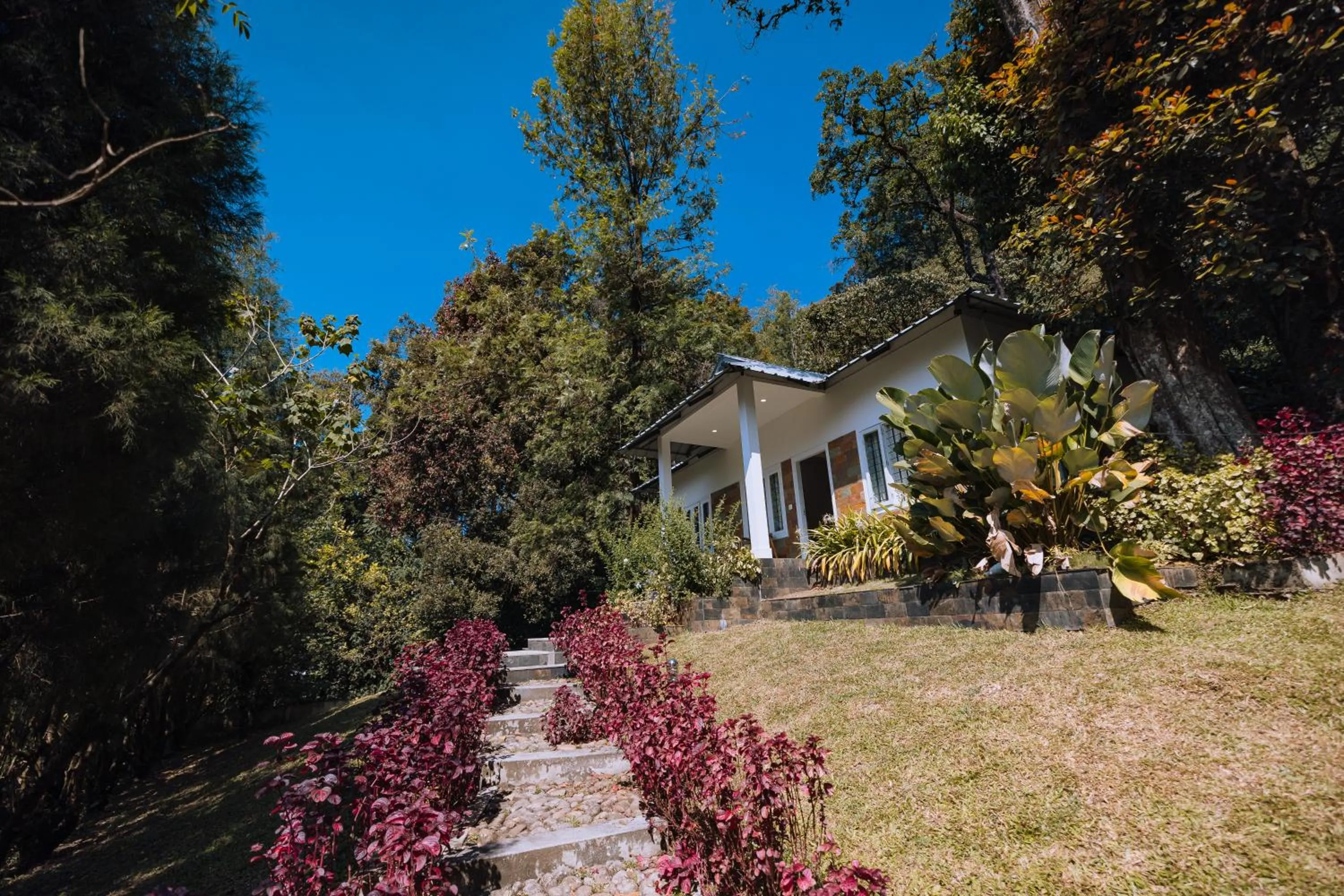 Property building in Elixir Woods Luxury Resort And Spa, Munnar