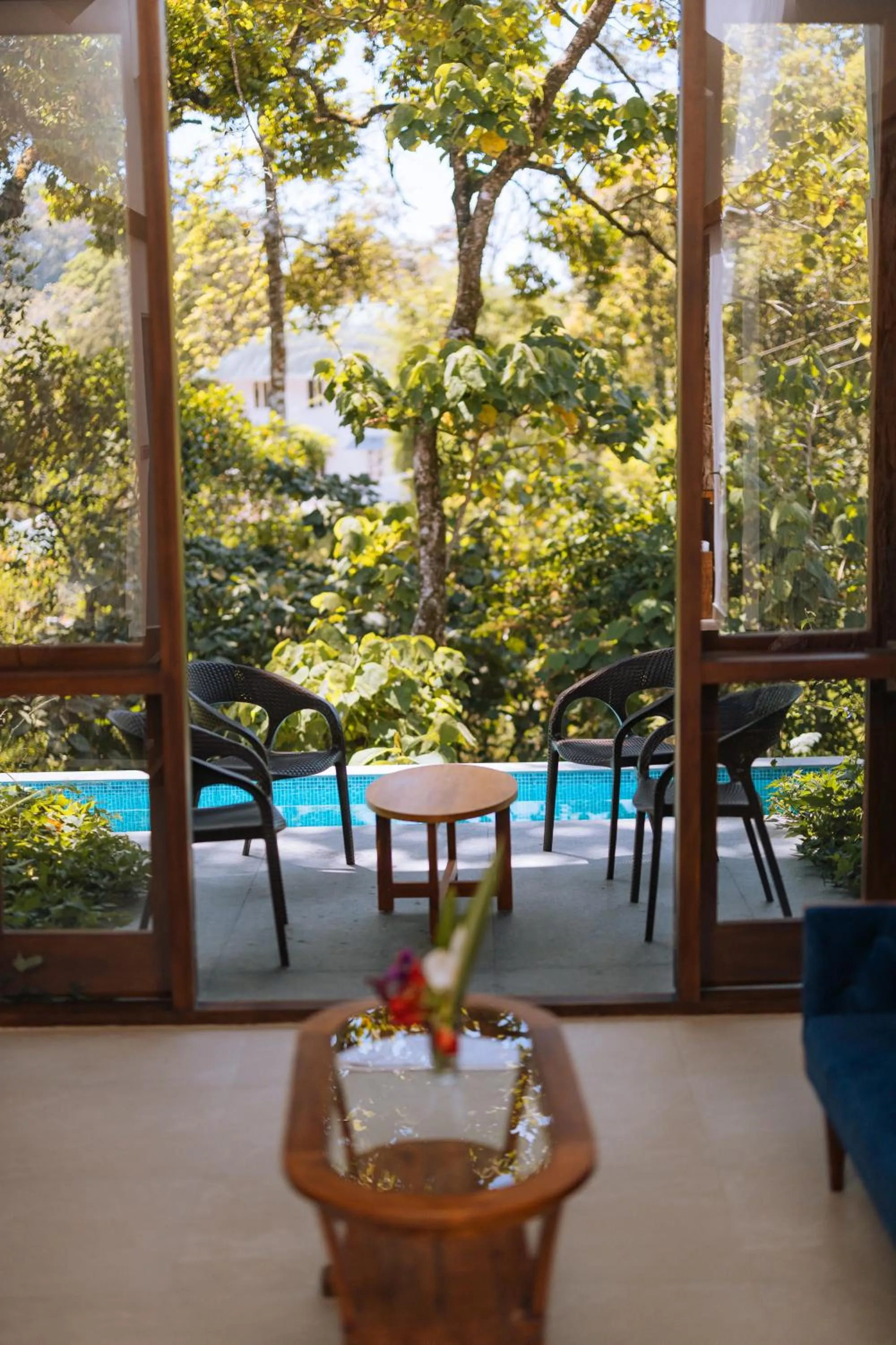 Swimming pool in Elixir Woods Luxury Resort And Spa, Munnar