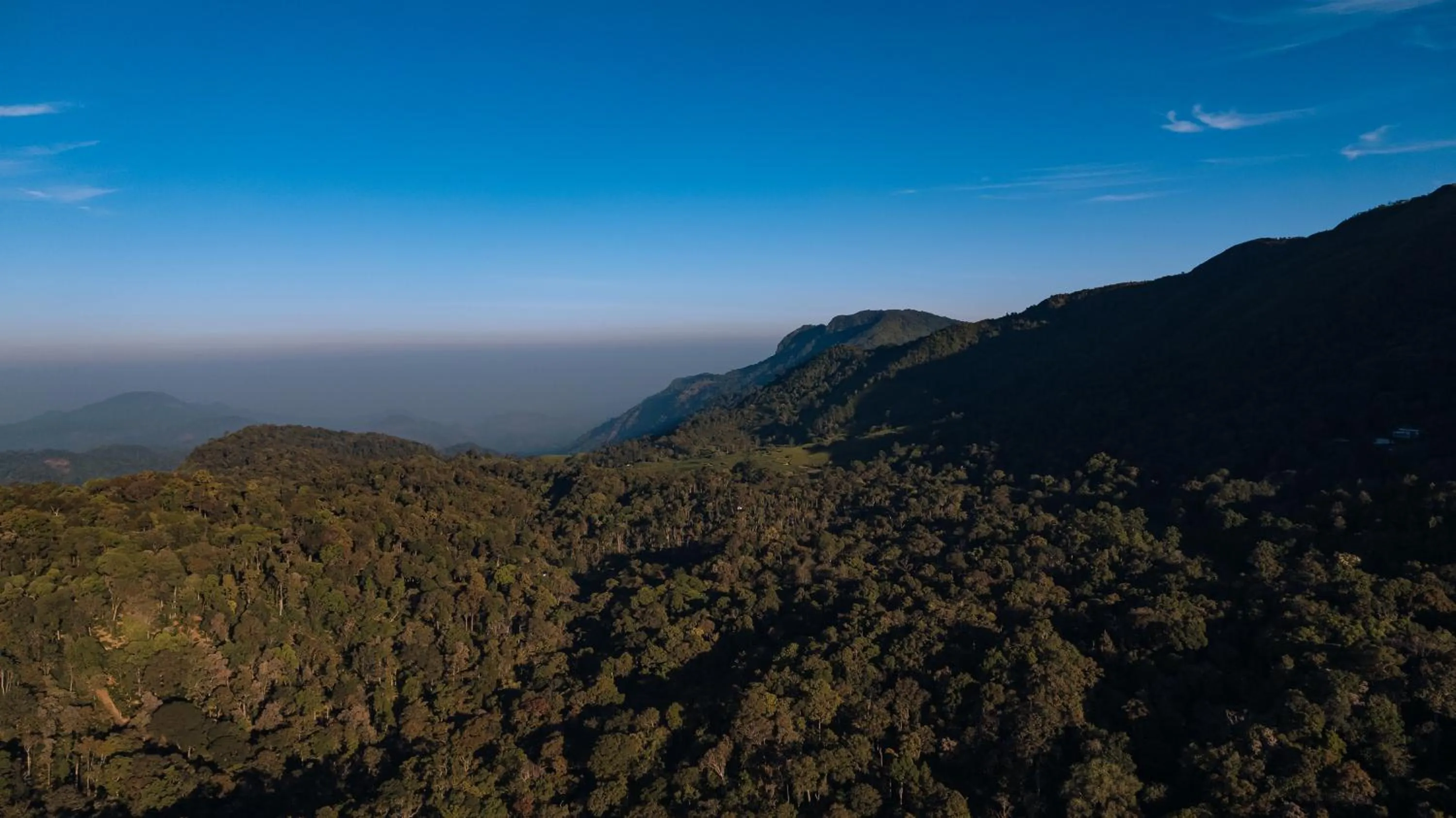 Natural landscape in Elixir Woods Luxury Resort And Spa, Munnar