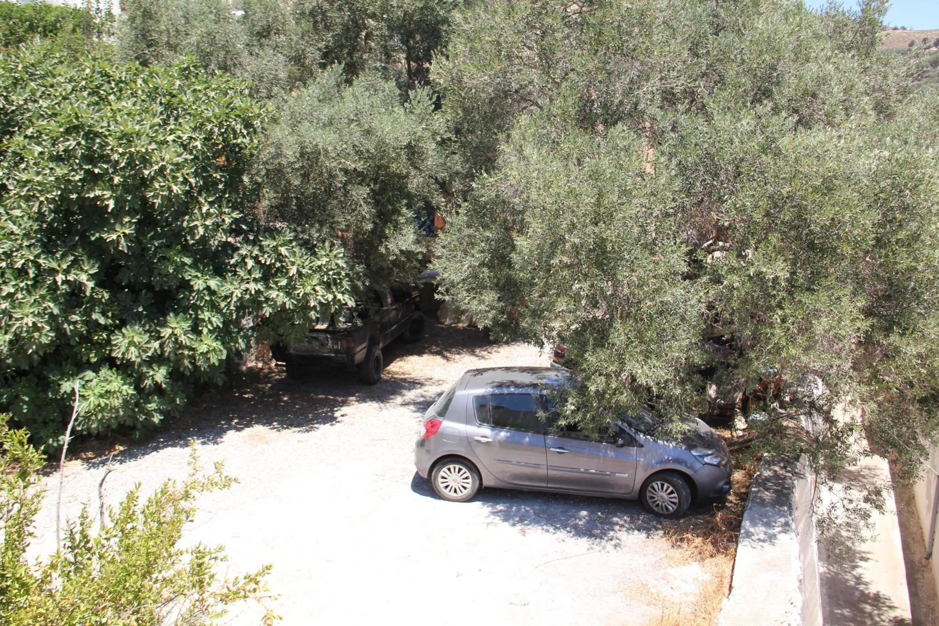 Patio in Hotel Stavris