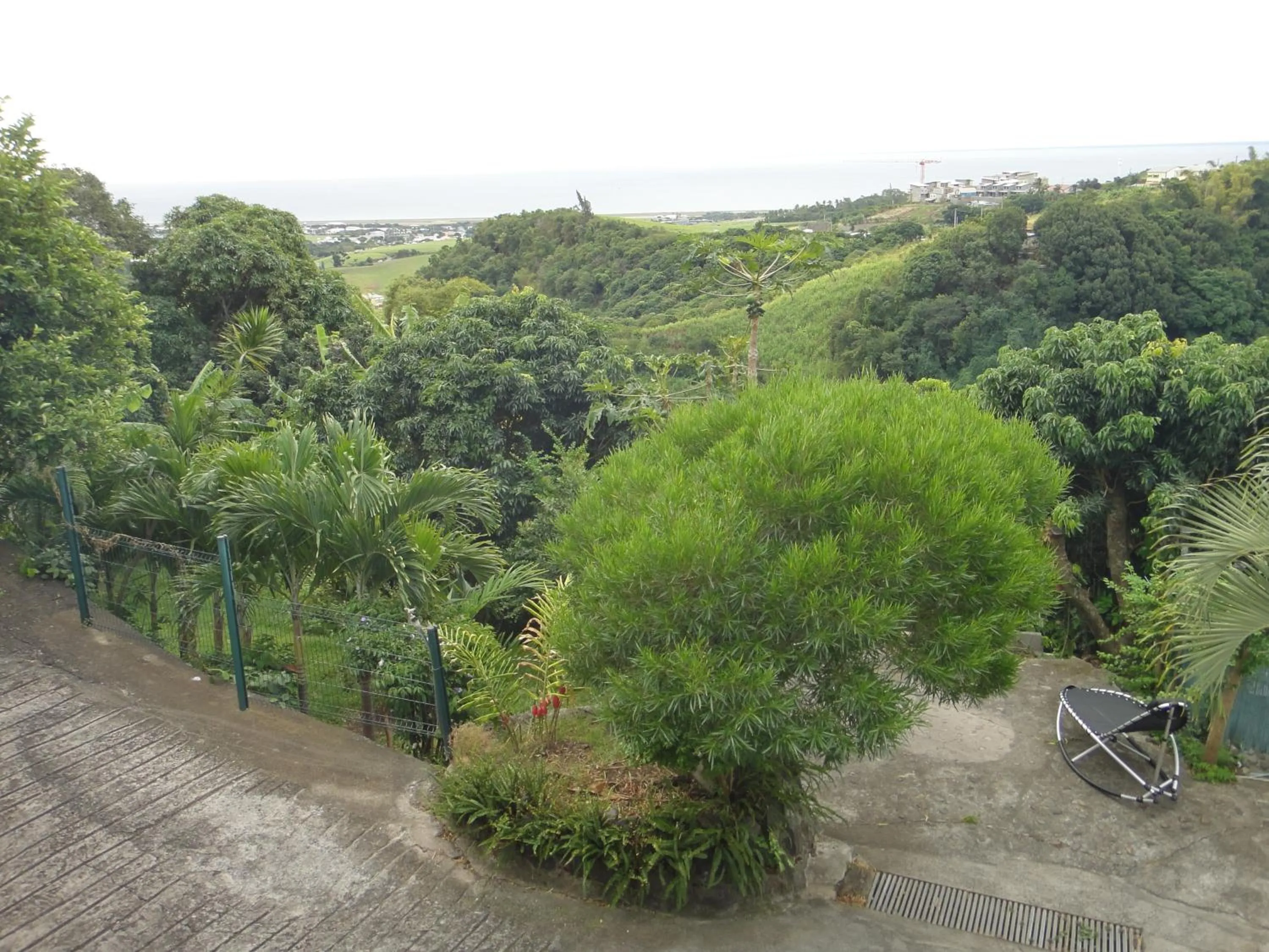 Garden in Villa Hélèna B&B
