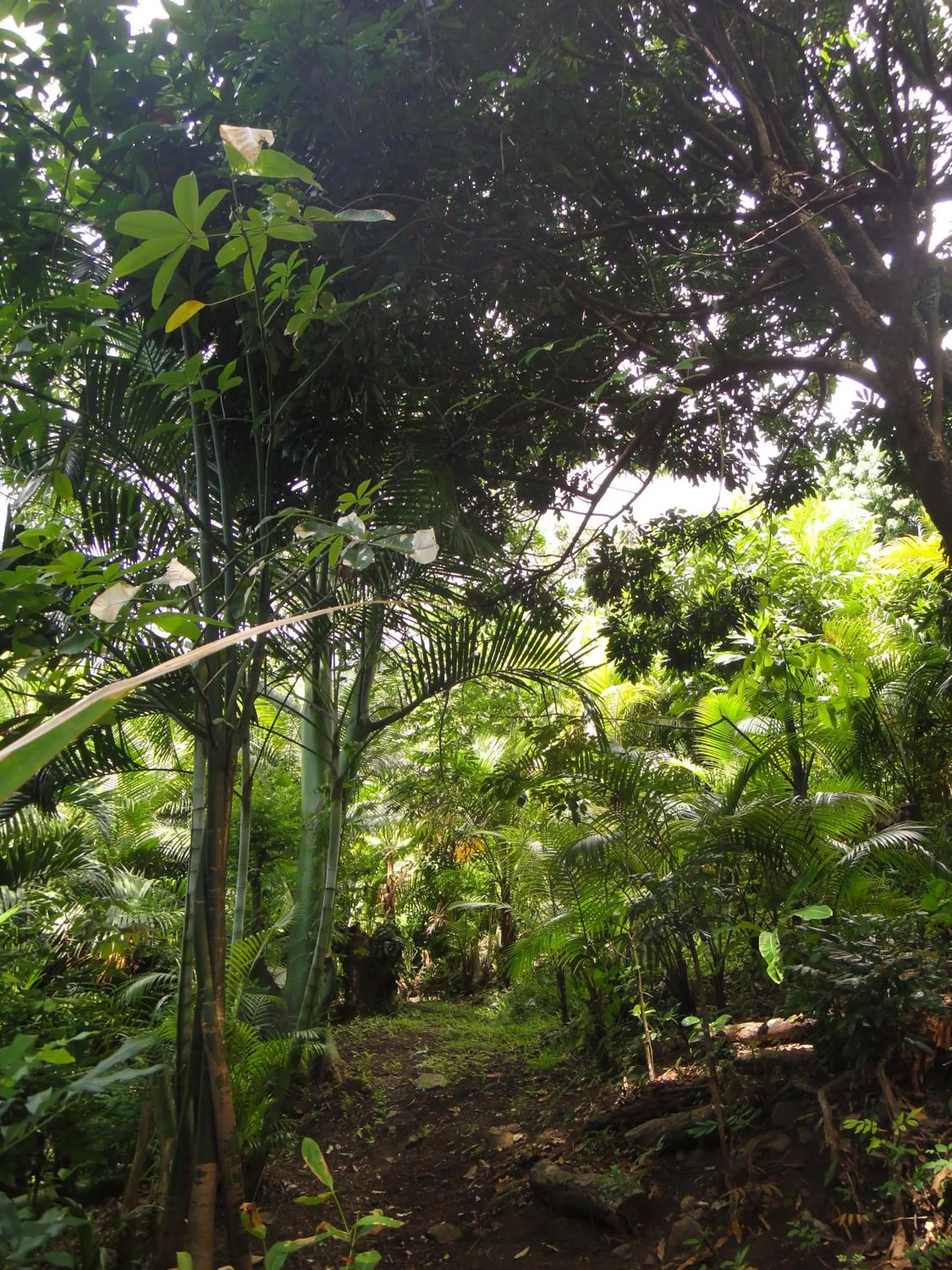 Natural landscape in Villa Hélèna B&B