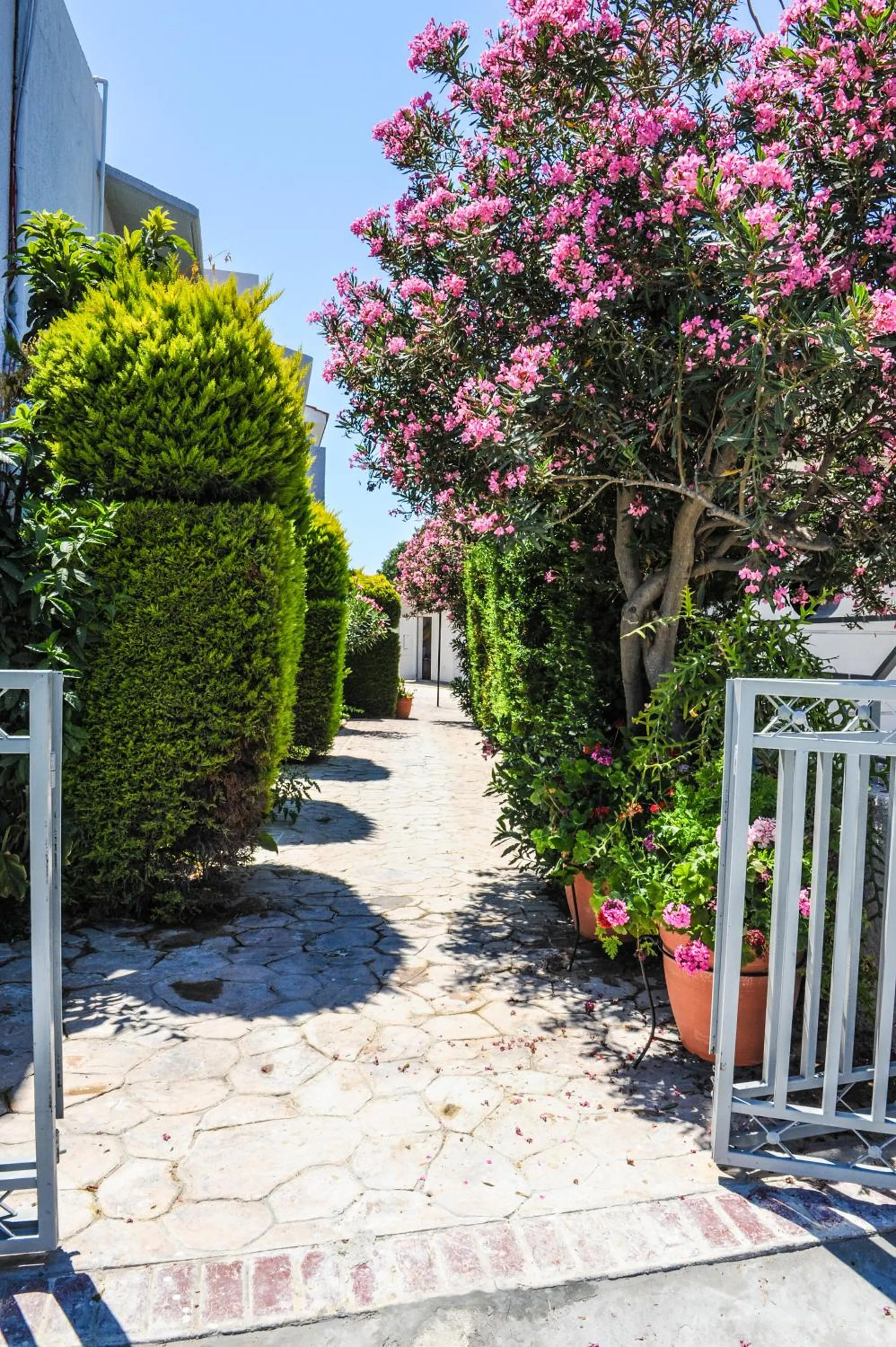 Day in Valentino Hotel