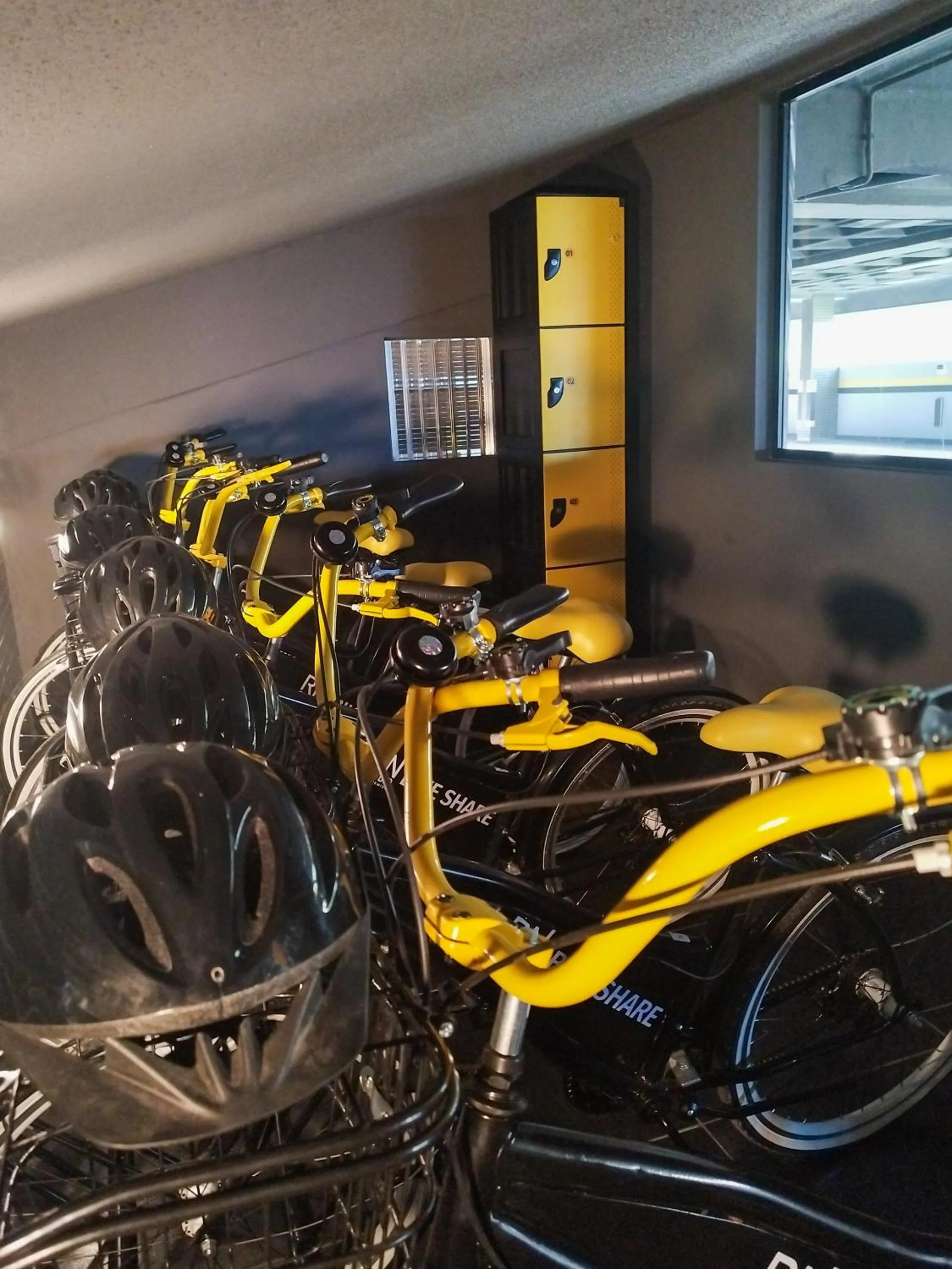 Activities in RN Studio Premium