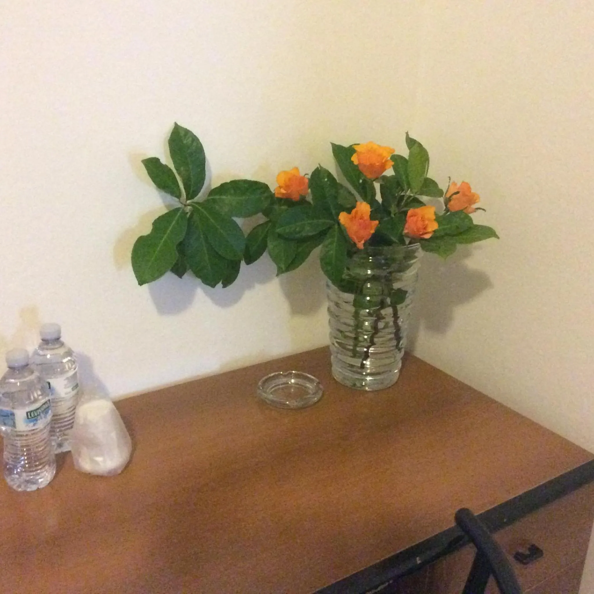 Hotel Triana e Tyche