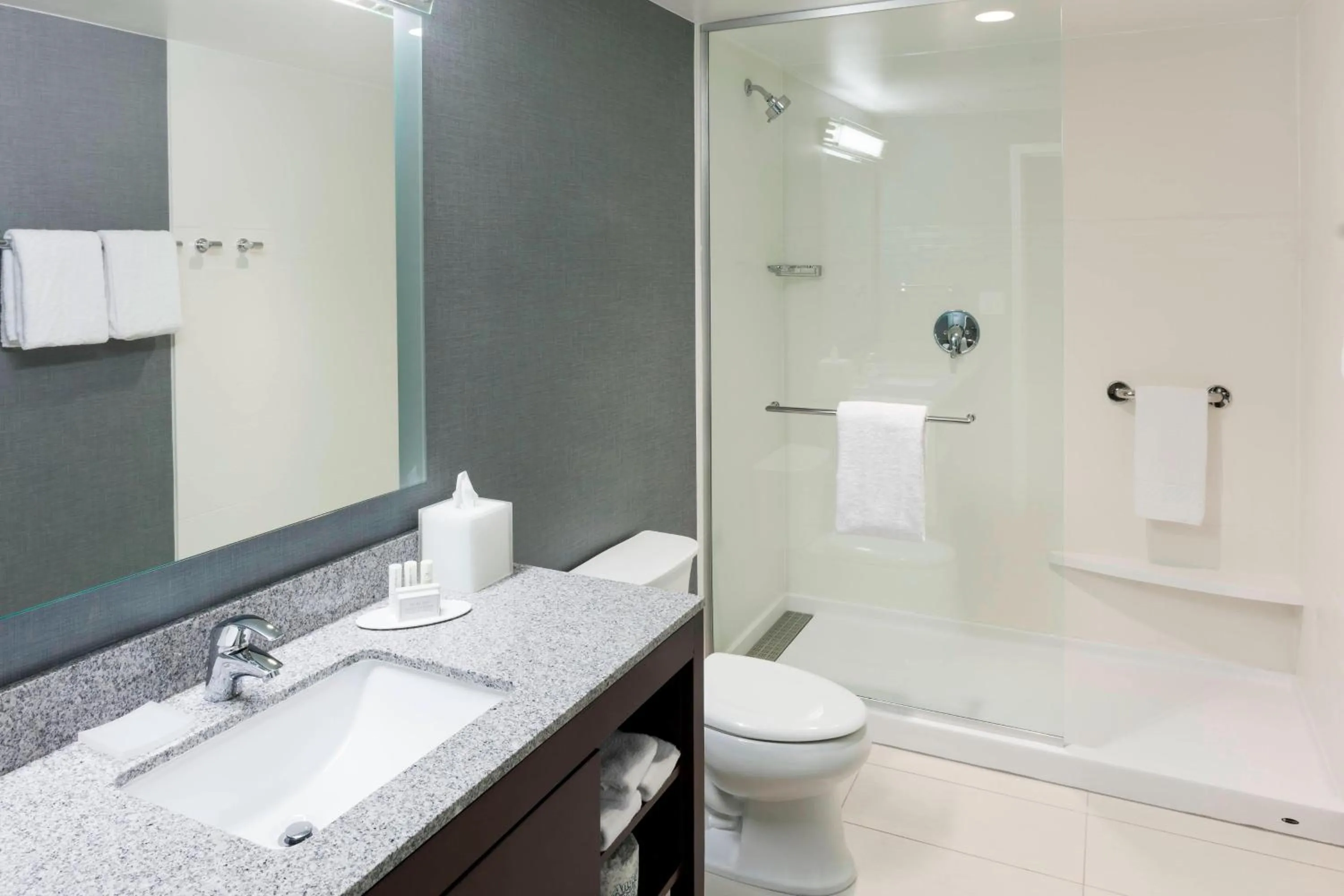 Bathroom in Residence Inn by Marriott Richmond Downtown
