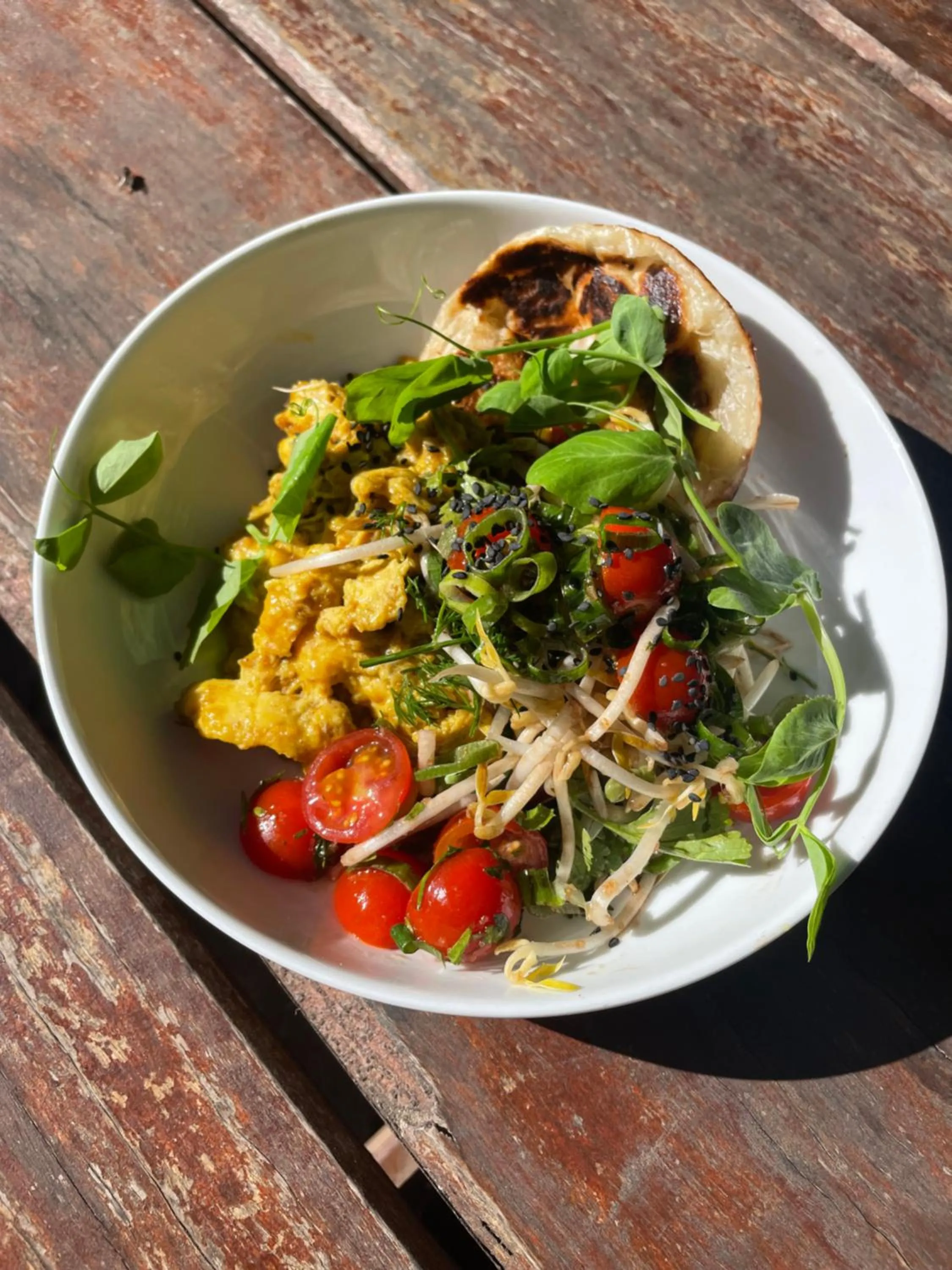 Harrietville Hotel Motel