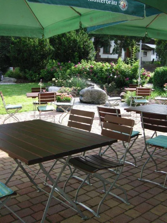 Balcony/Terrace in Landhotel zur Linde