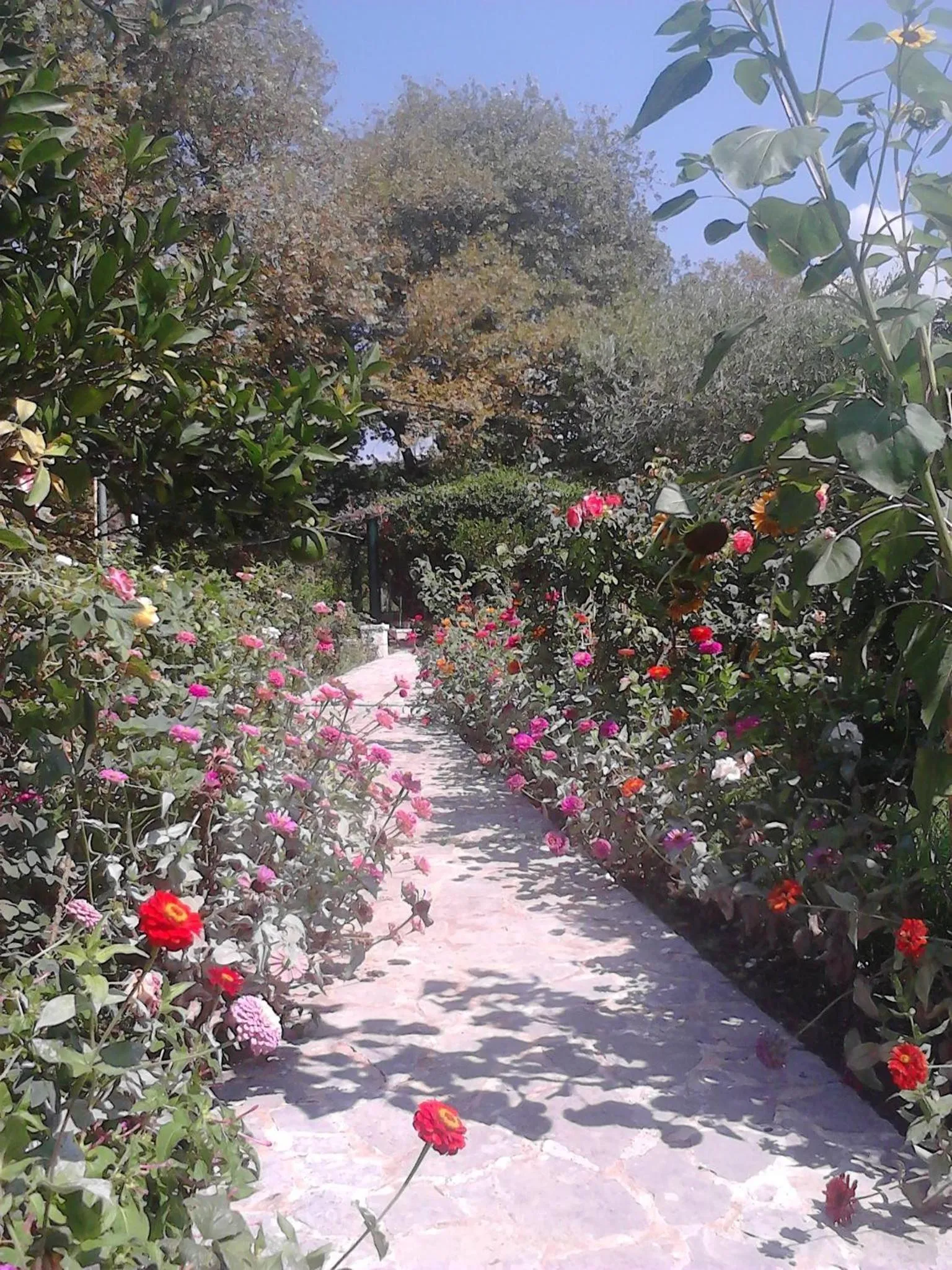 Appartamenti Angelika